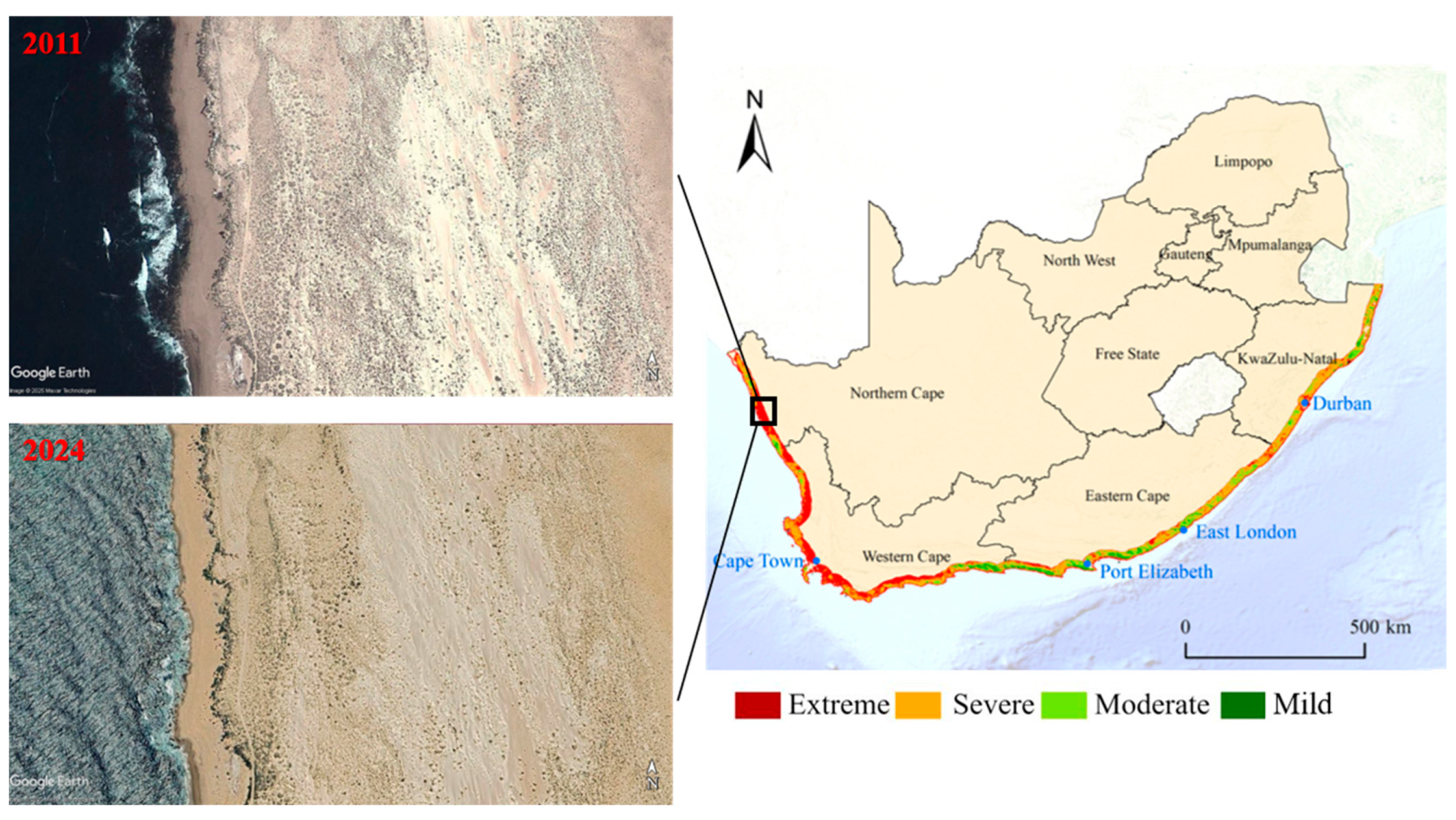 Diversity 17 00753 g007 Diversity 17 00753 g007