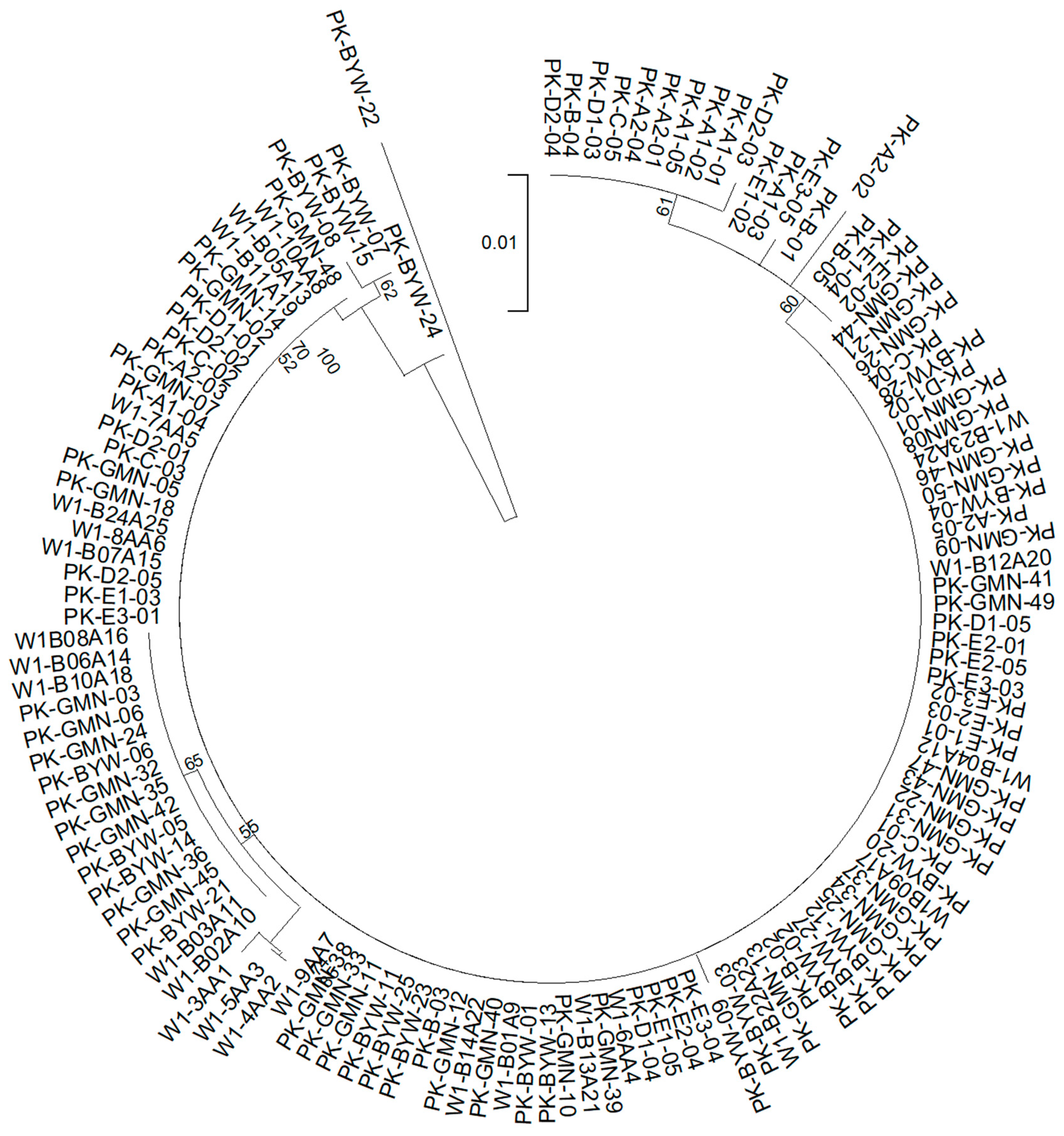 Diversity 17 00754 g003 Diversity 17 00754 g003