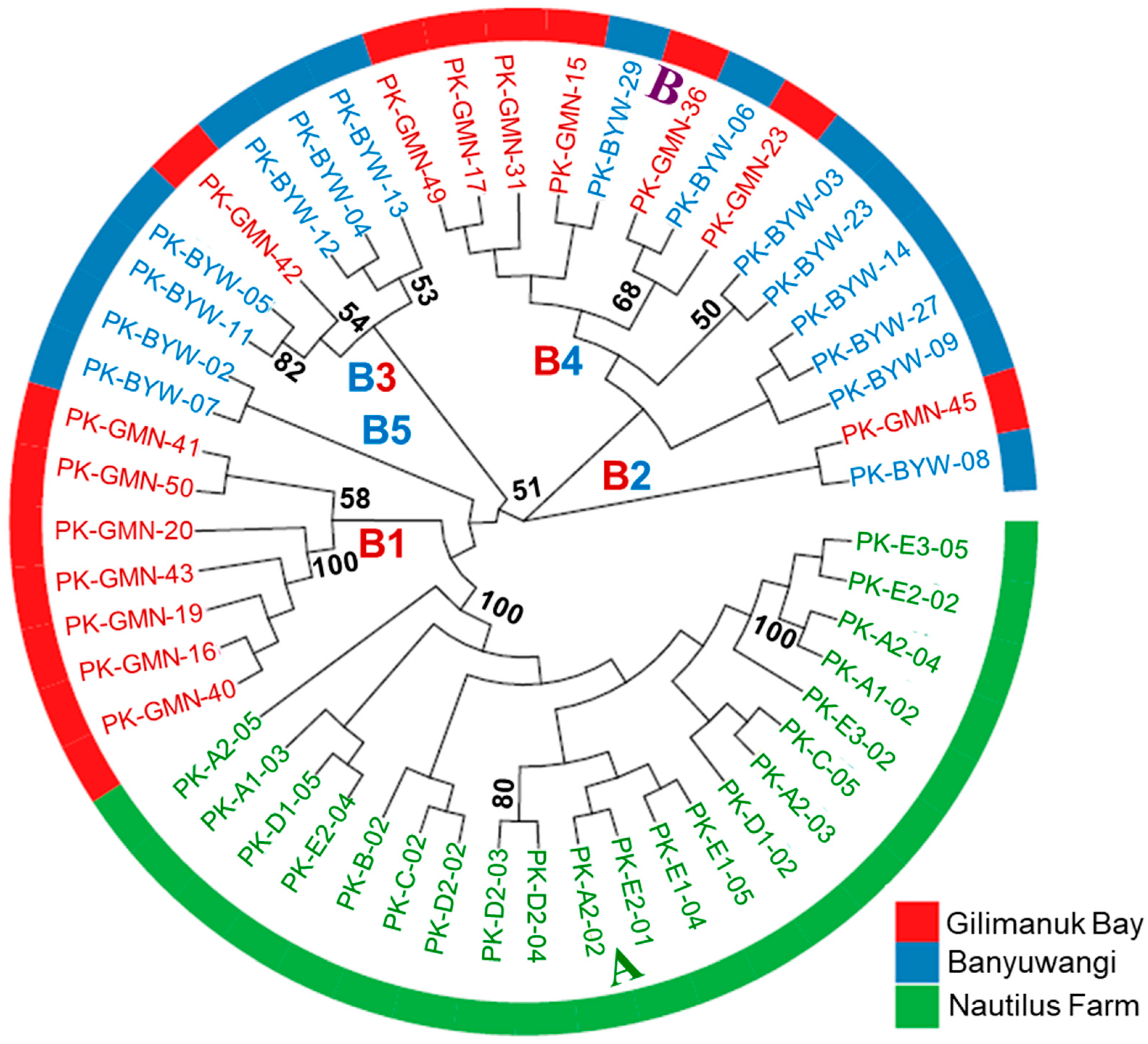 Diversity 17 00754 g004 Diversity 17 00754 g004