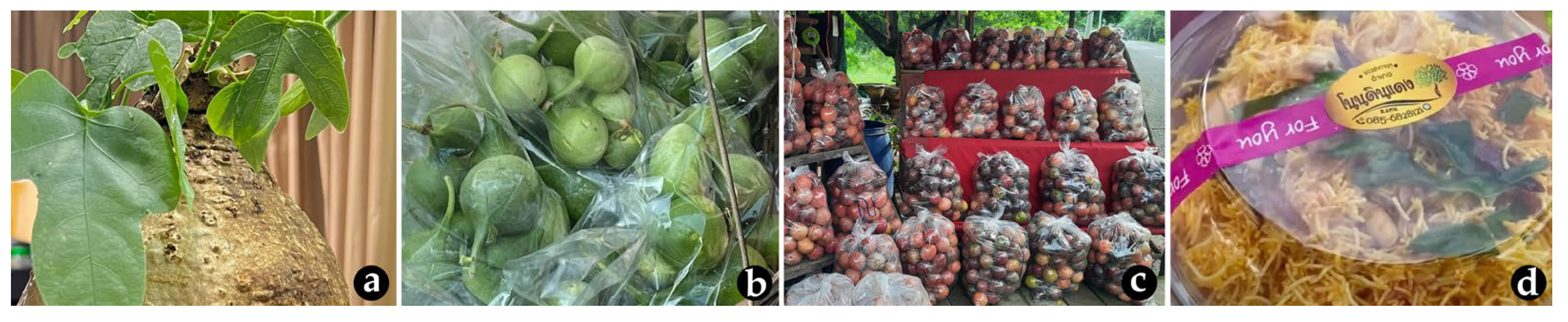 Diversity 17 00755 g005 Diversity 17 00755 g005