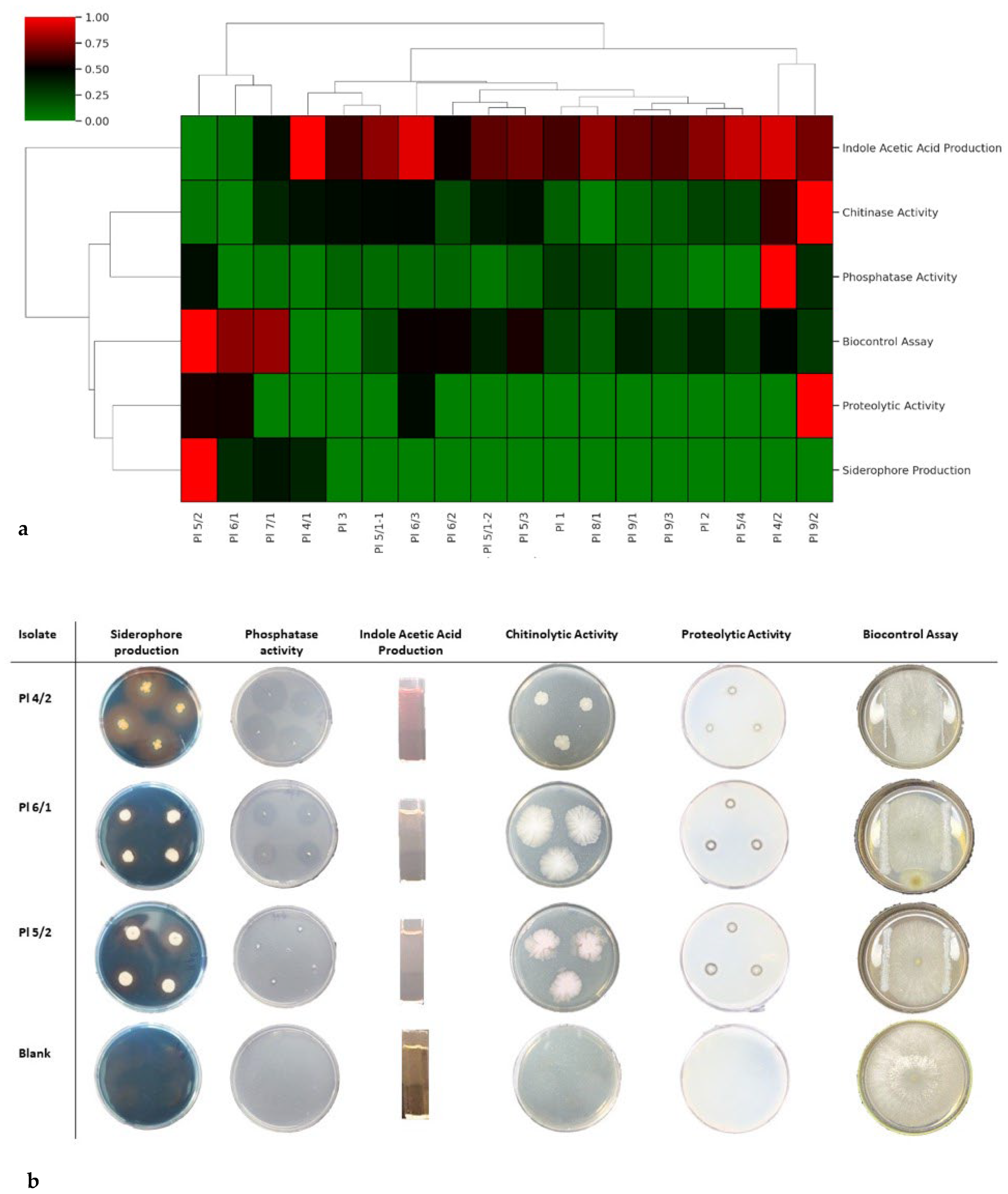 Diversity 17 00757 g002