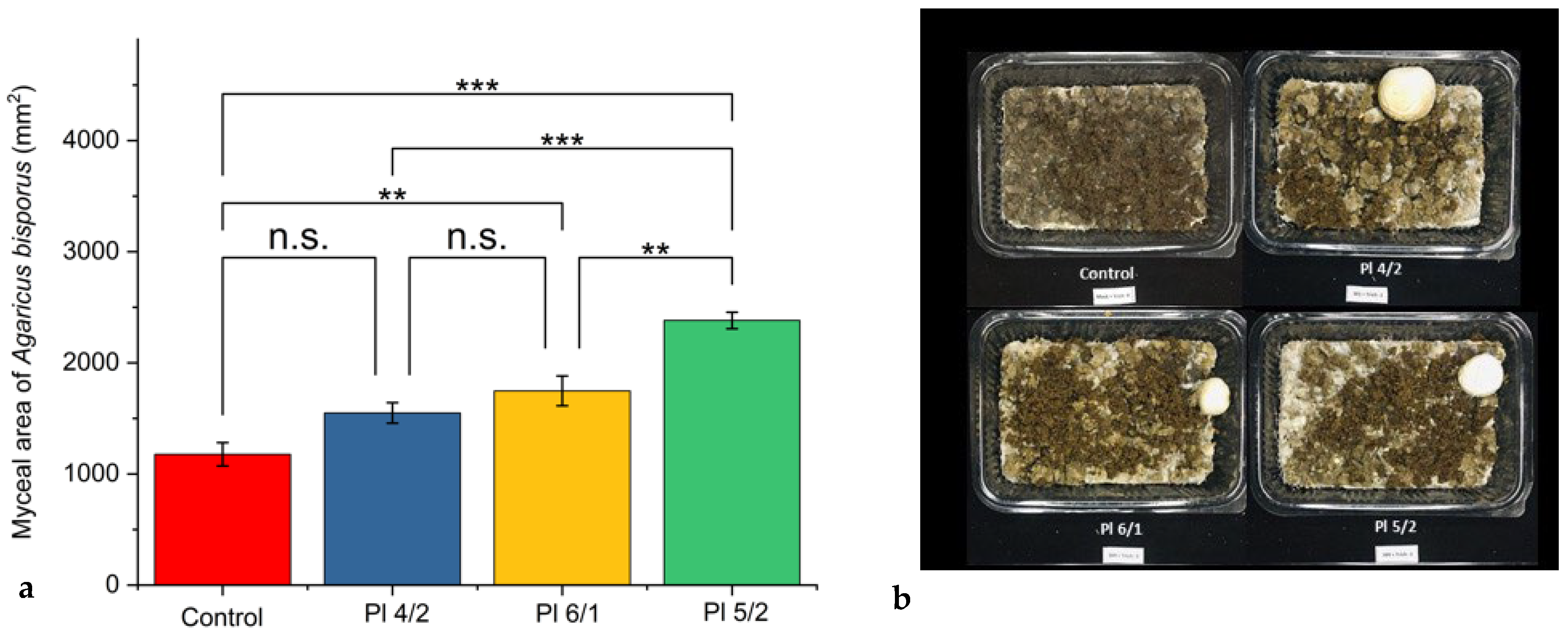 Diversity 17 00757 g003