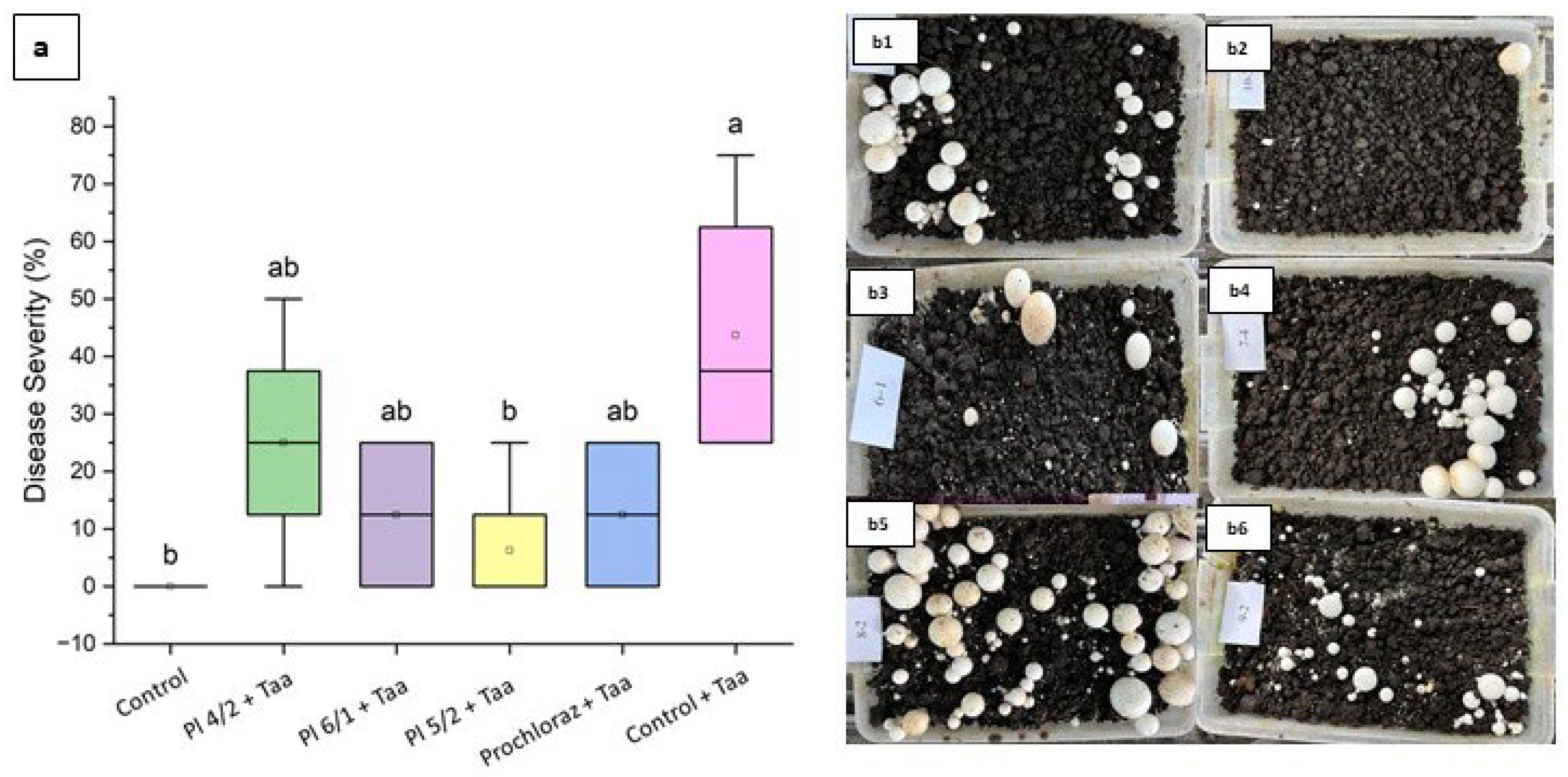 Diversity 17 00757 g004