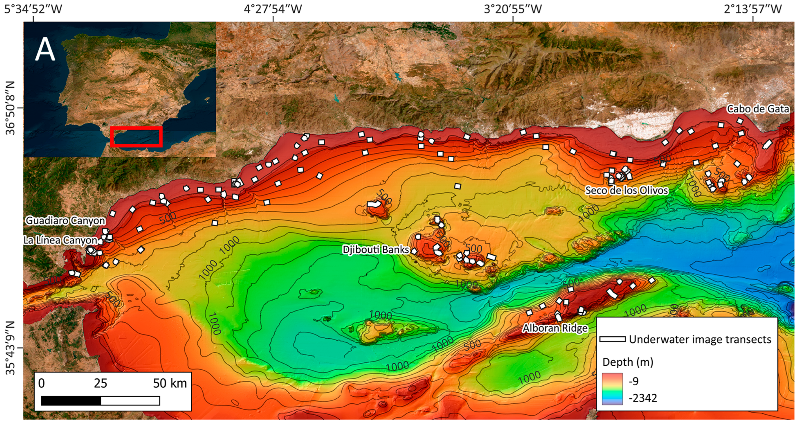 Diversity 17 00758 g001a Diversity 17 00758 g001a