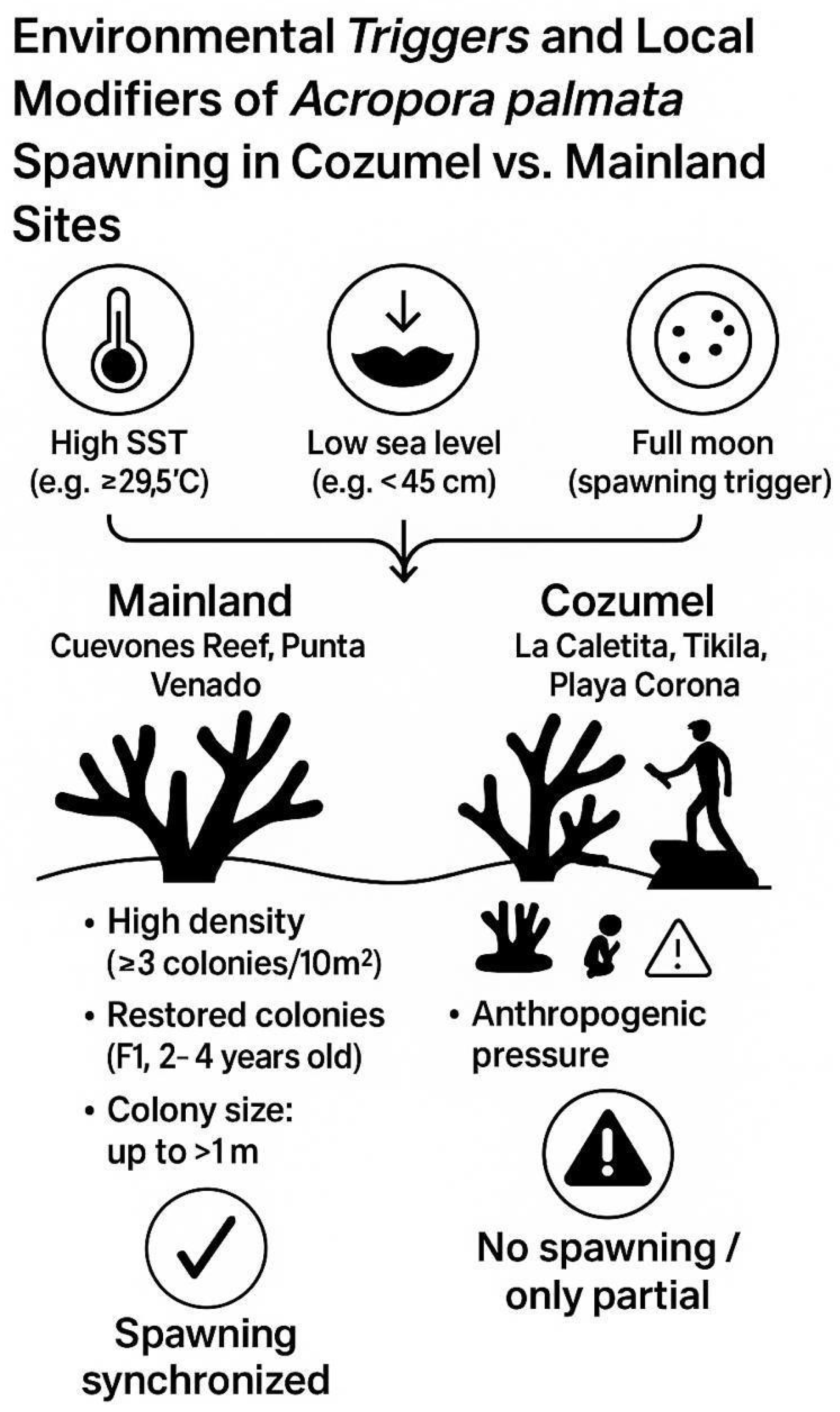 Diversity 17 00759 g003