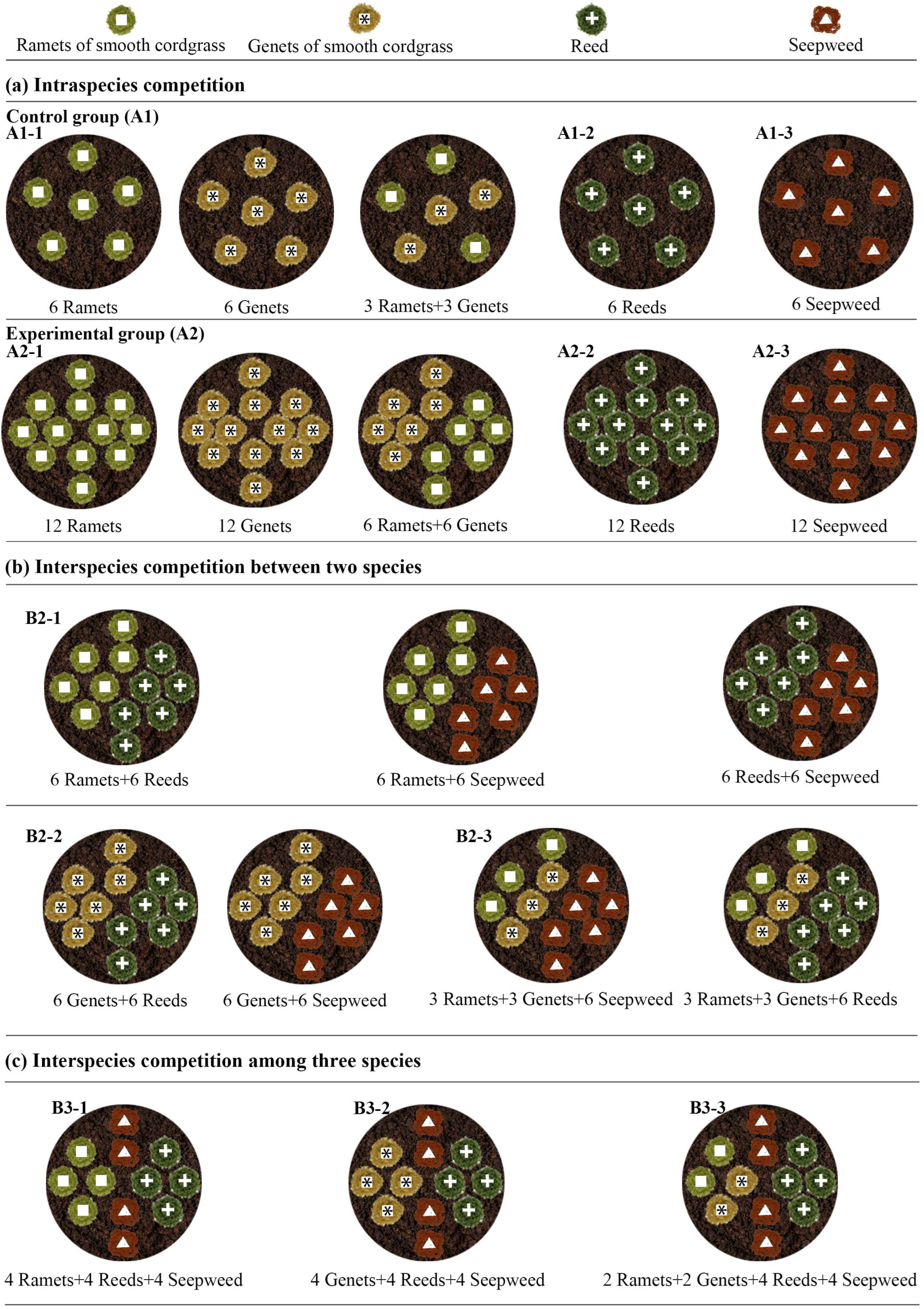 Diversity 17 00765 g002
