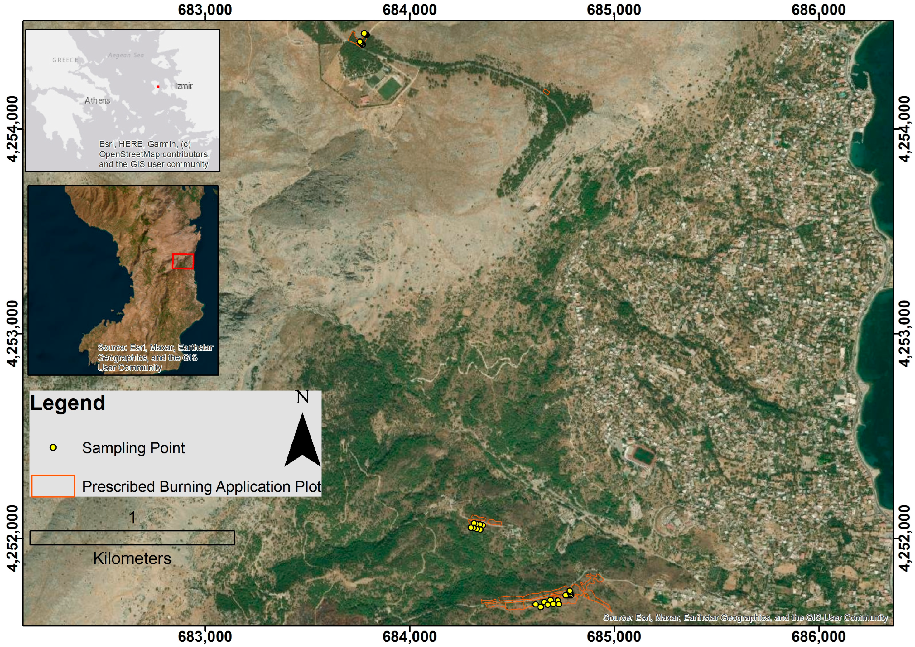 Diversity 17 00768 g001