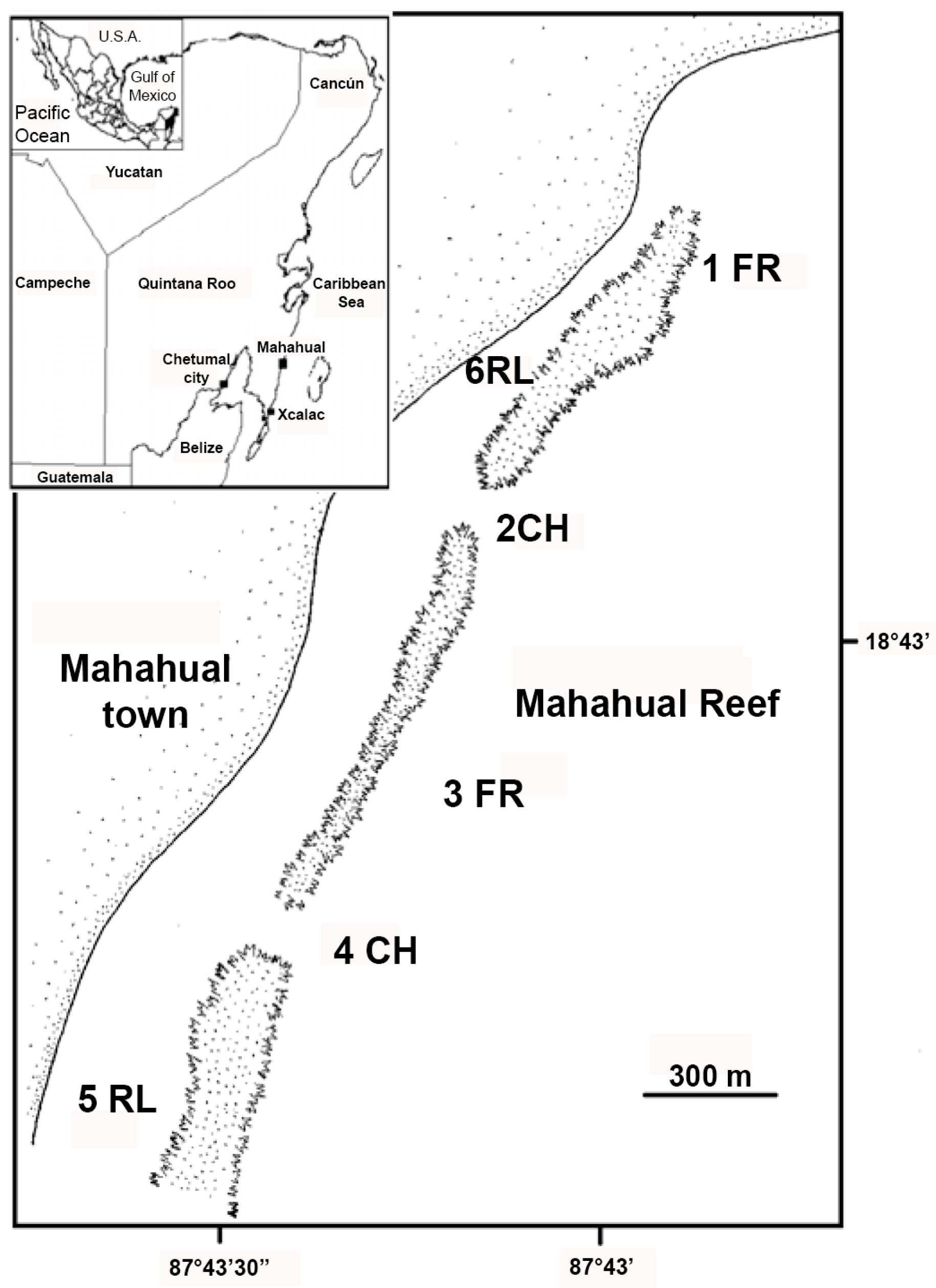 Diversity 17 00769 g001 Diversity 17 00769 g001