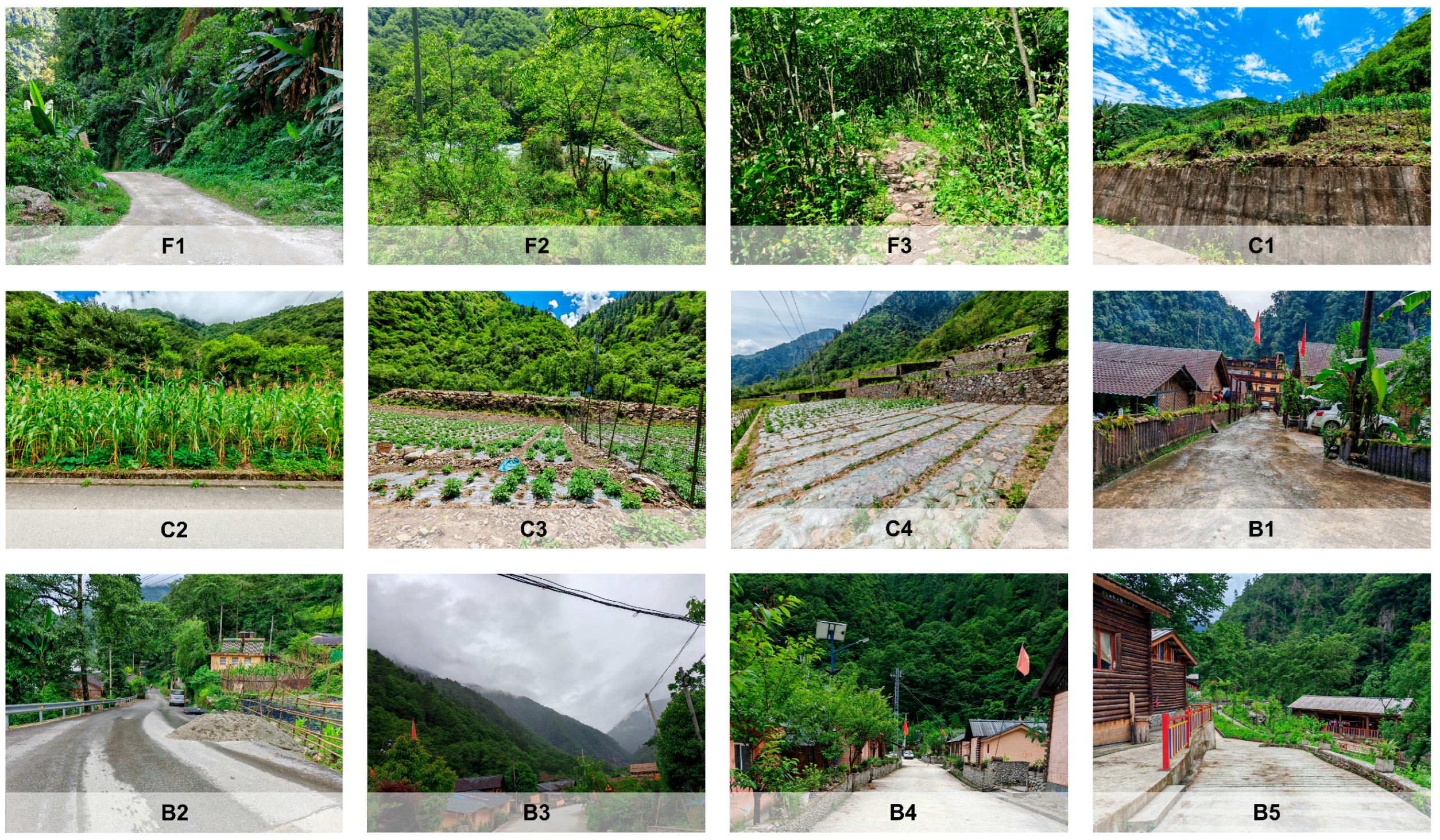 Diversity 17 00771 g002 Diversity 17 00771 g002