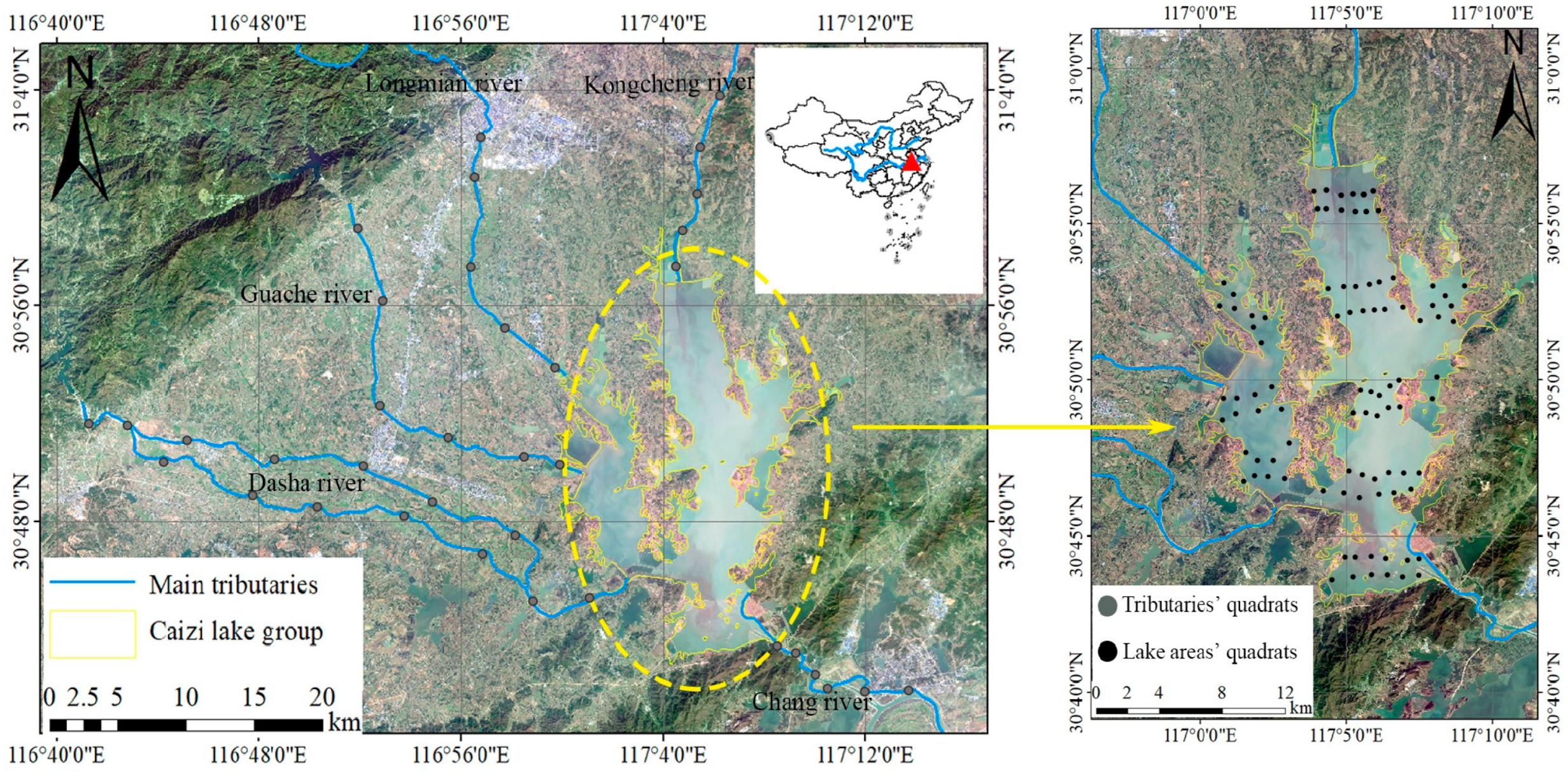 Diversity 17 00773 g001 Diversity 17 00773 g001