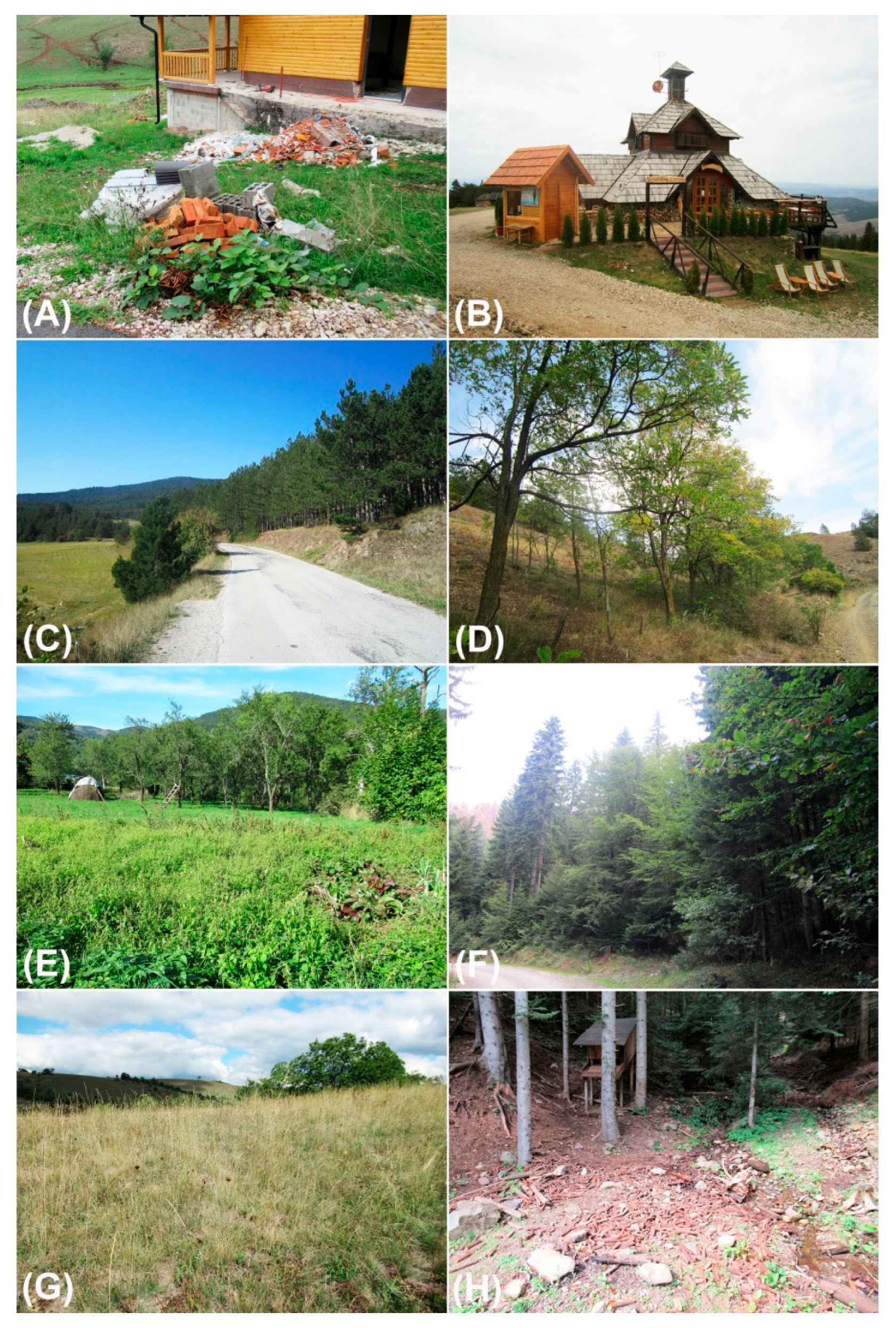 Diversity 17 00774 g002