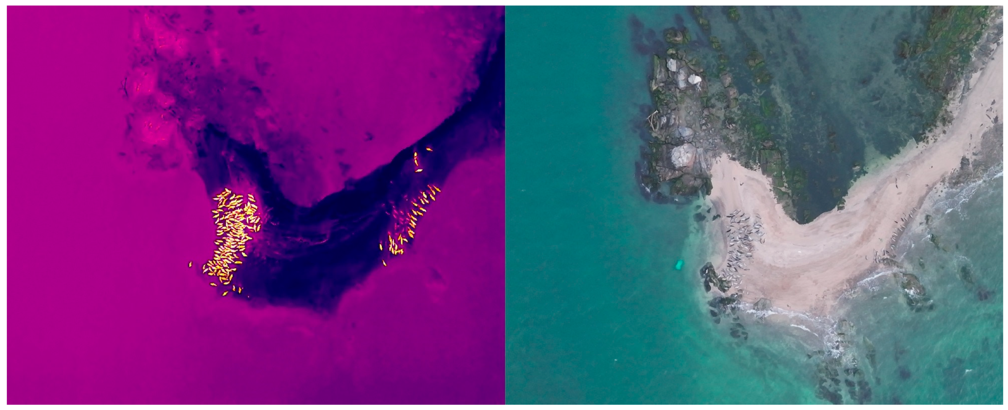 Diversity 17 00777 g002 Diversity 17 00777 g002