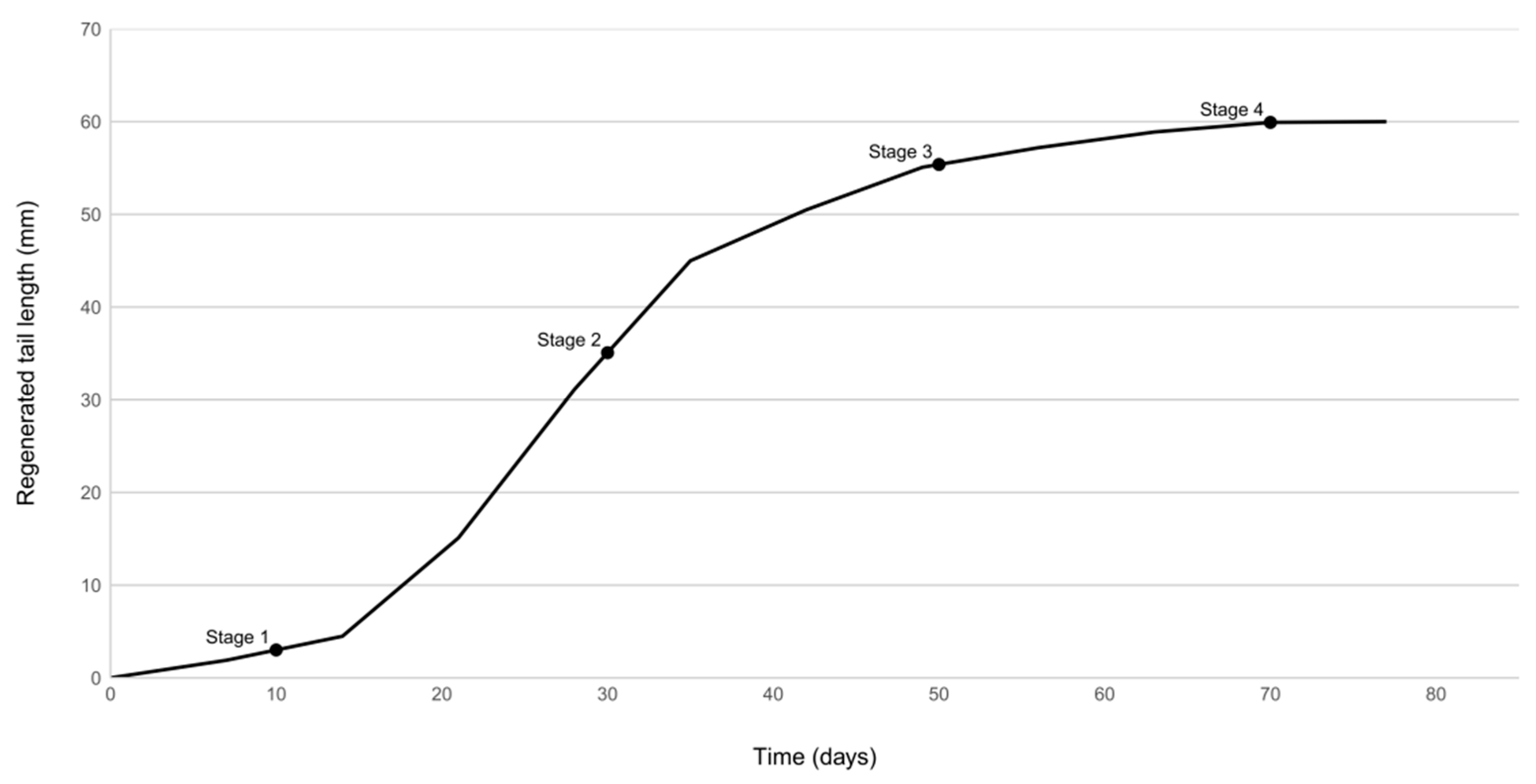 Diversity 17 00780 g001 Diversity 17 00780 g001