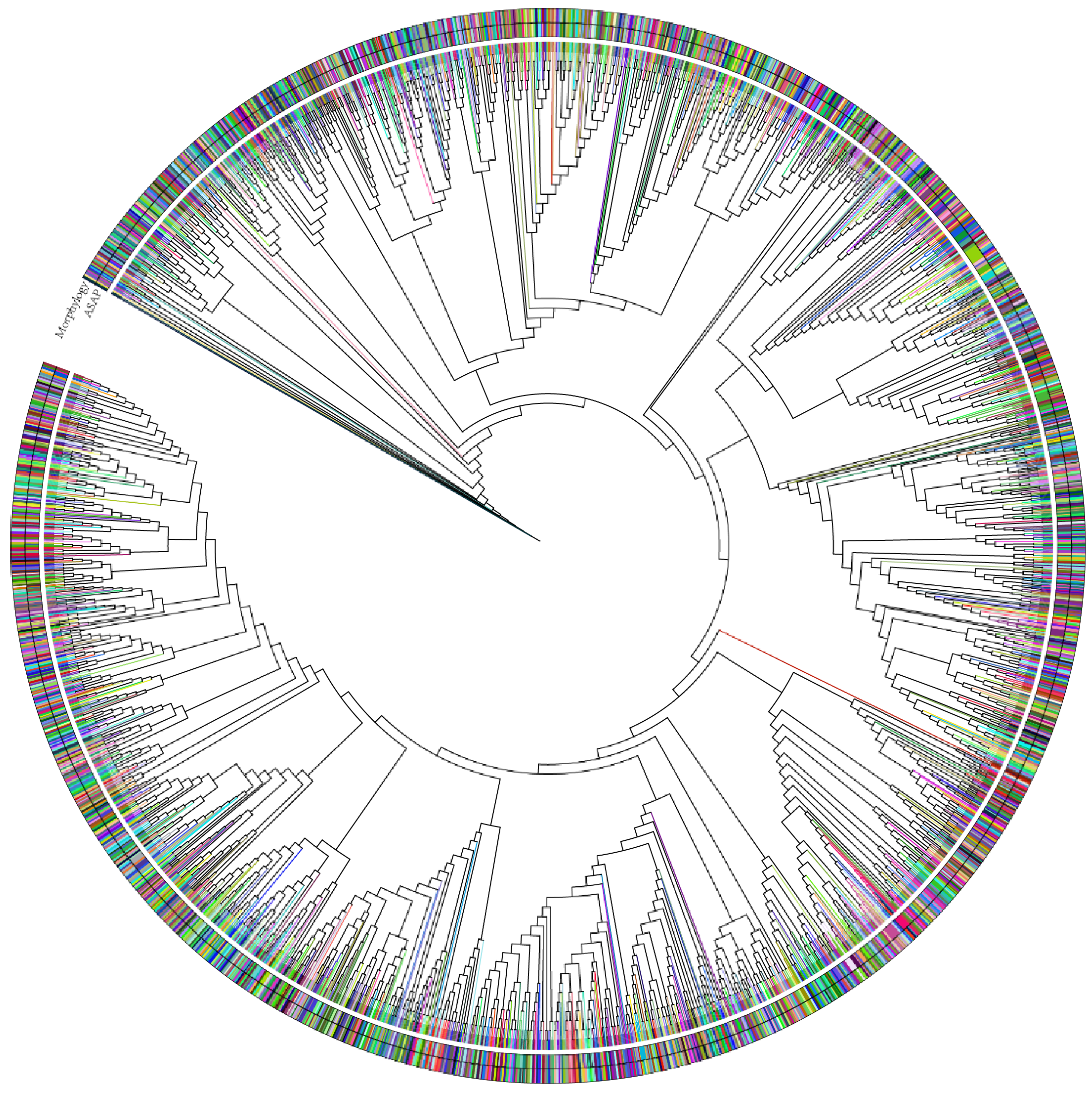 Diversity 17 00783 g008 Diversity 17 00783 g008