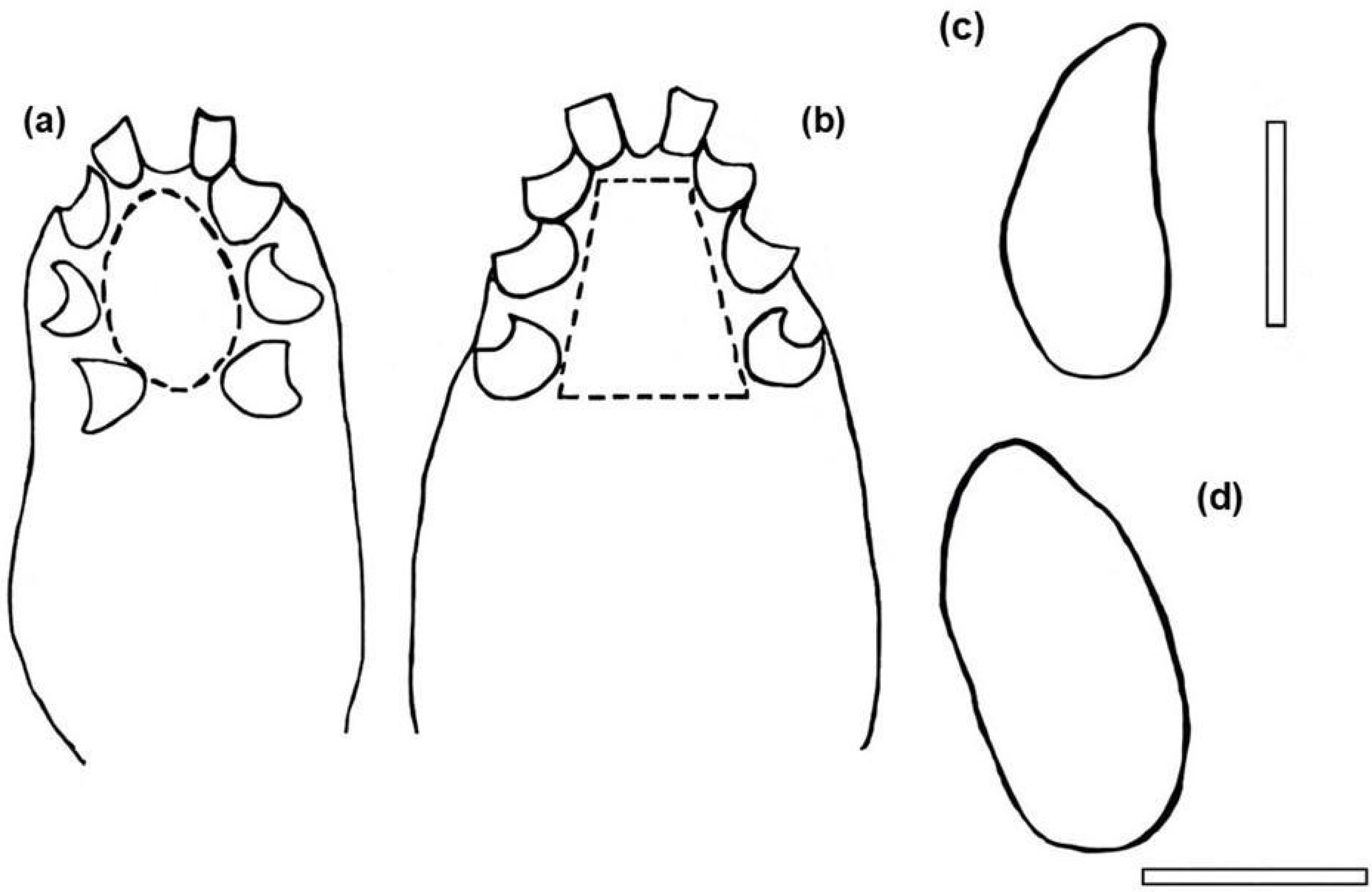 Diversity 17 00789 g005