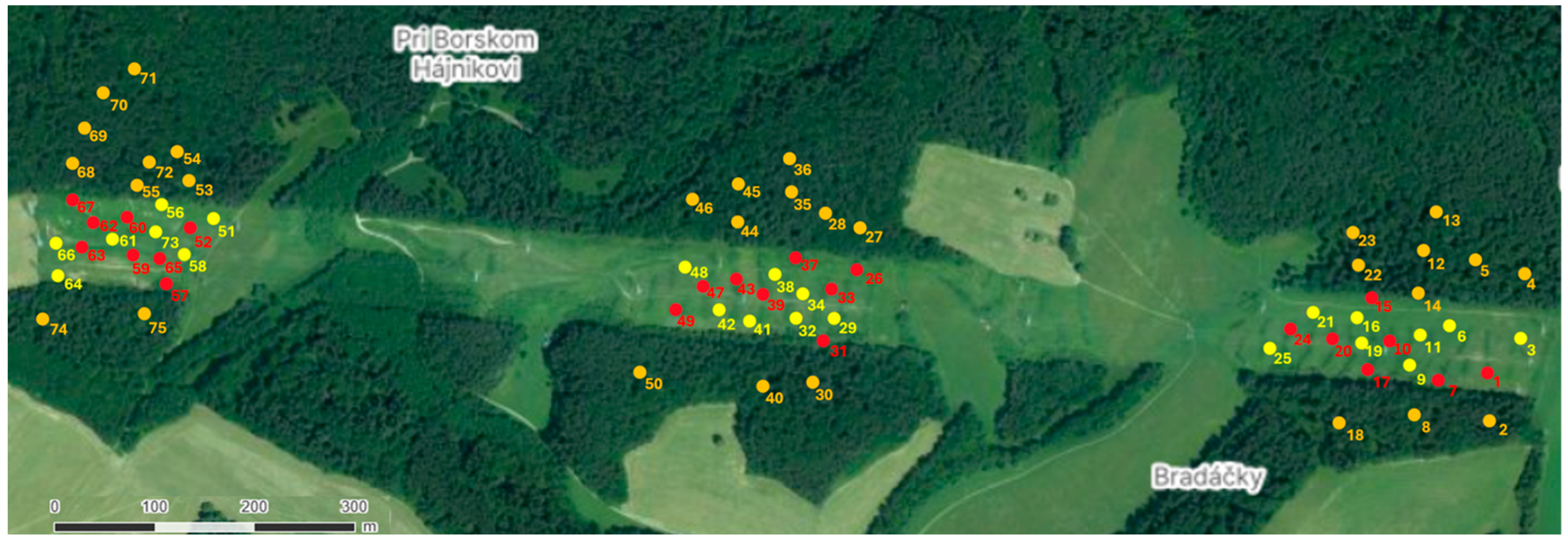 Diversity 17 00790 g001