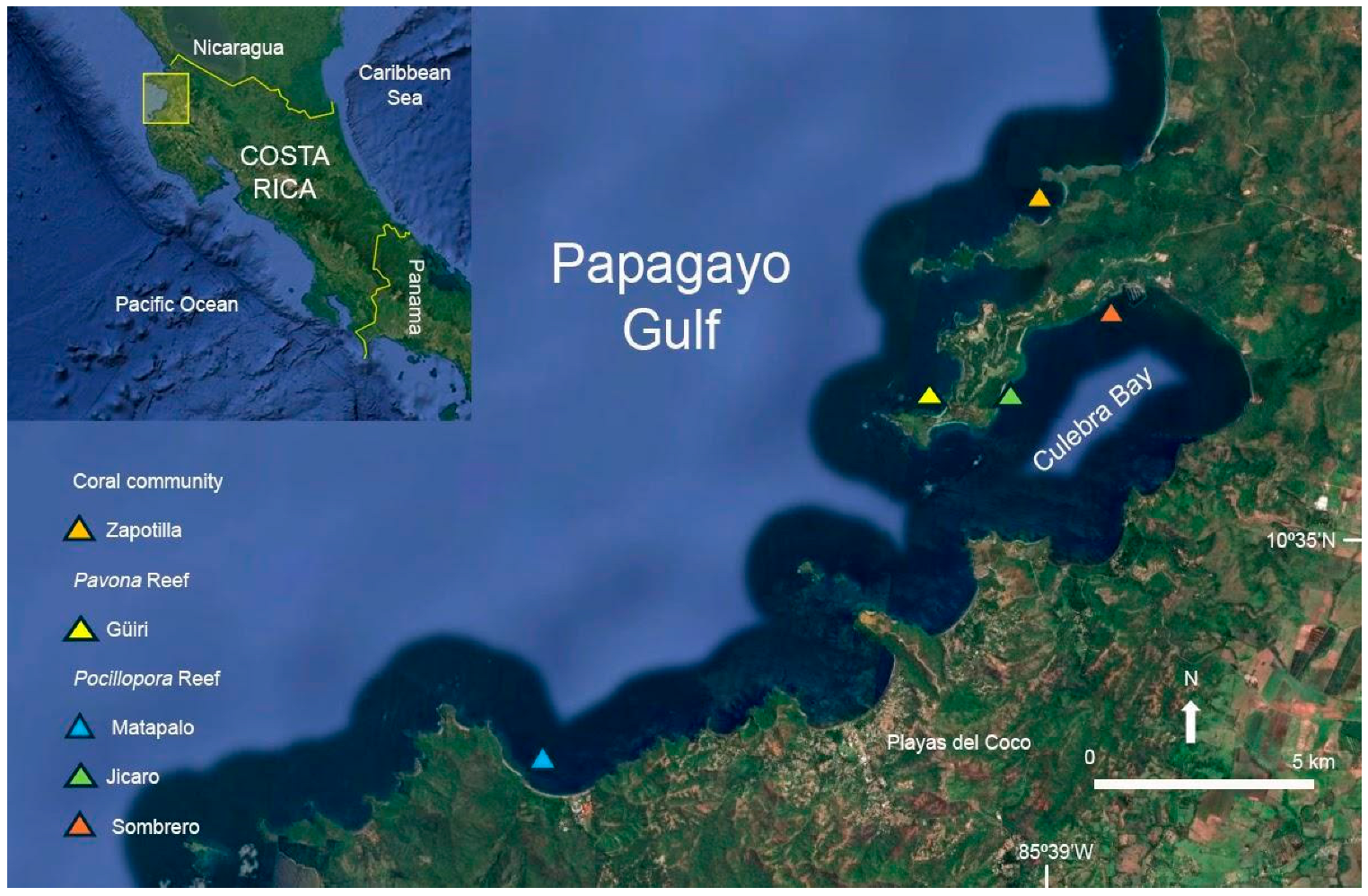 Diversity 17 00791 g001