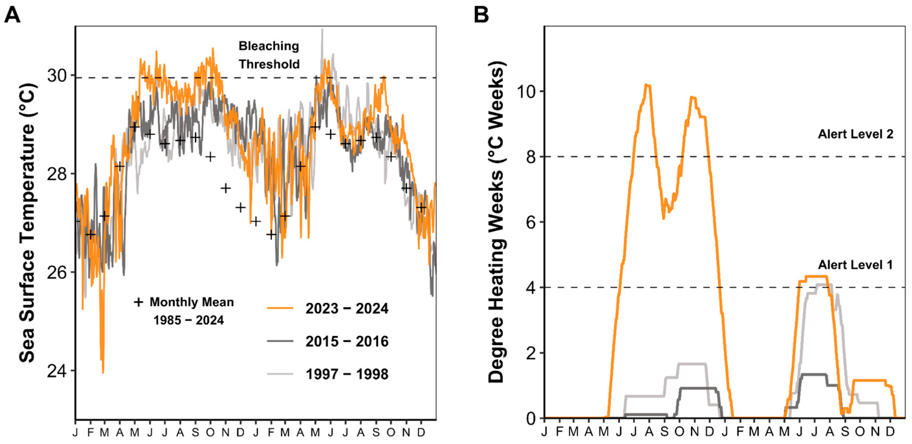 Diversity 17 00791 g002