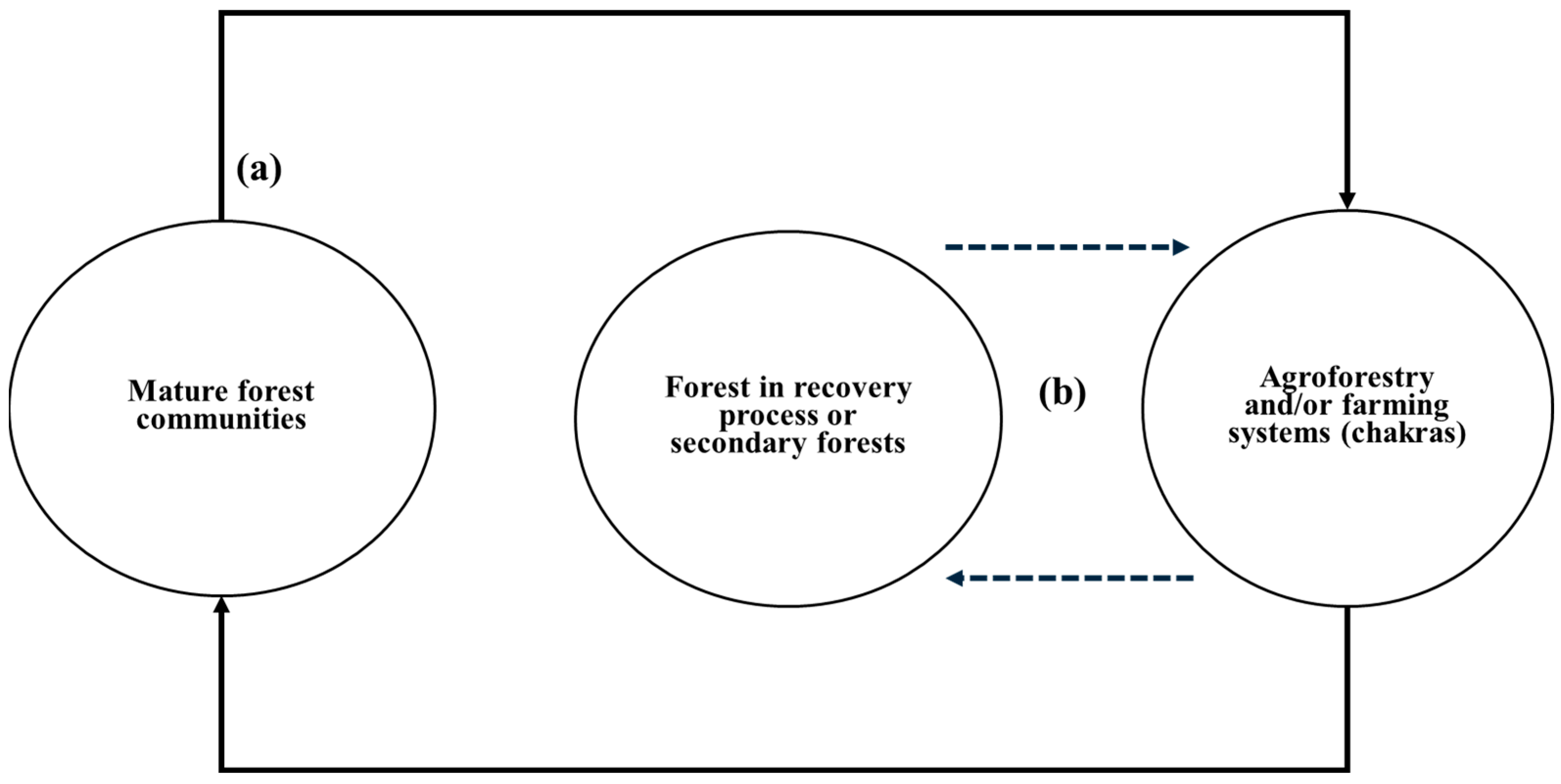 Diversity 17 00792 g002 Diversity 17 00792 g002