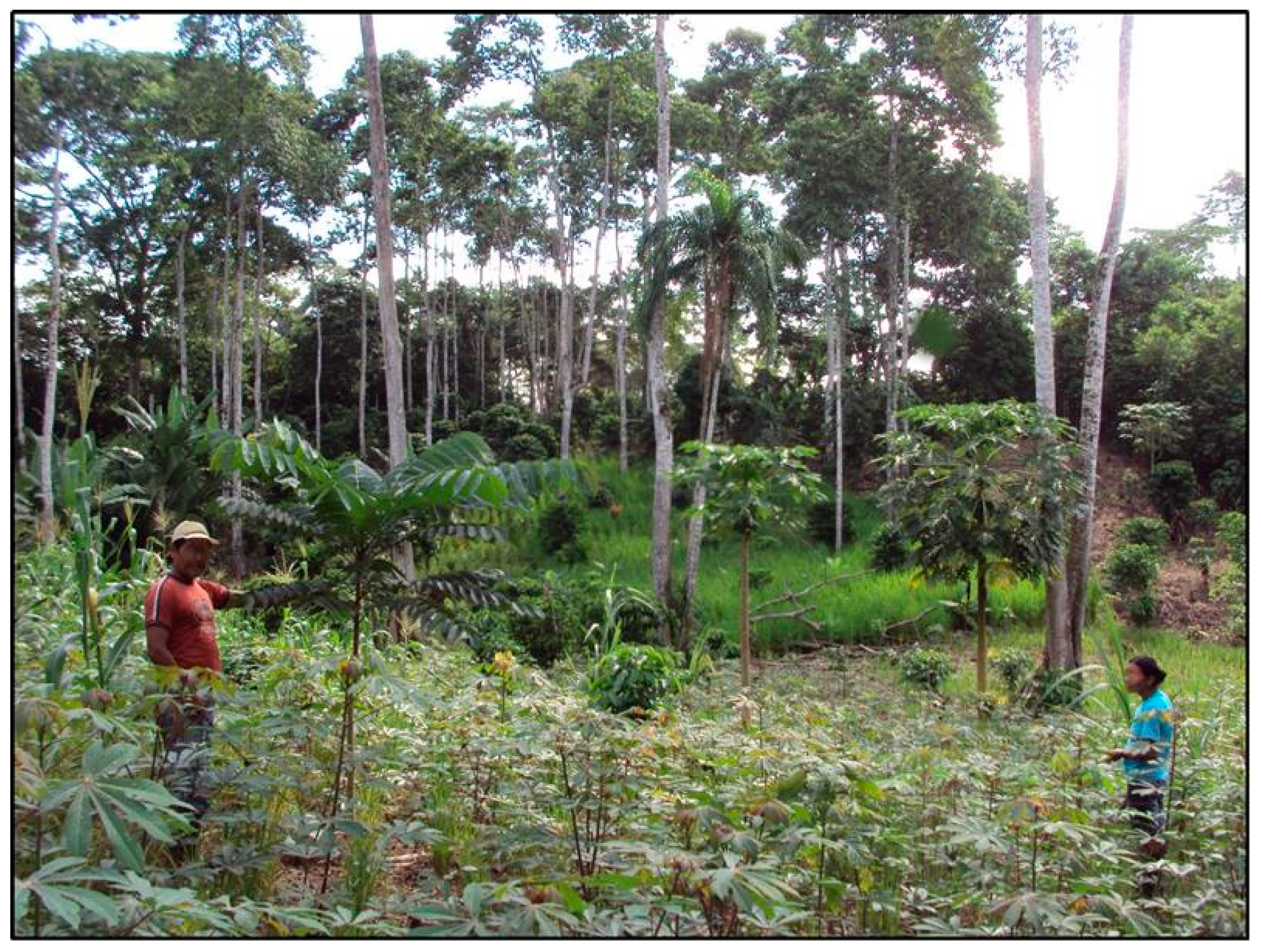 Diversity 17 00792 g003 Diversity 17 00792 g003