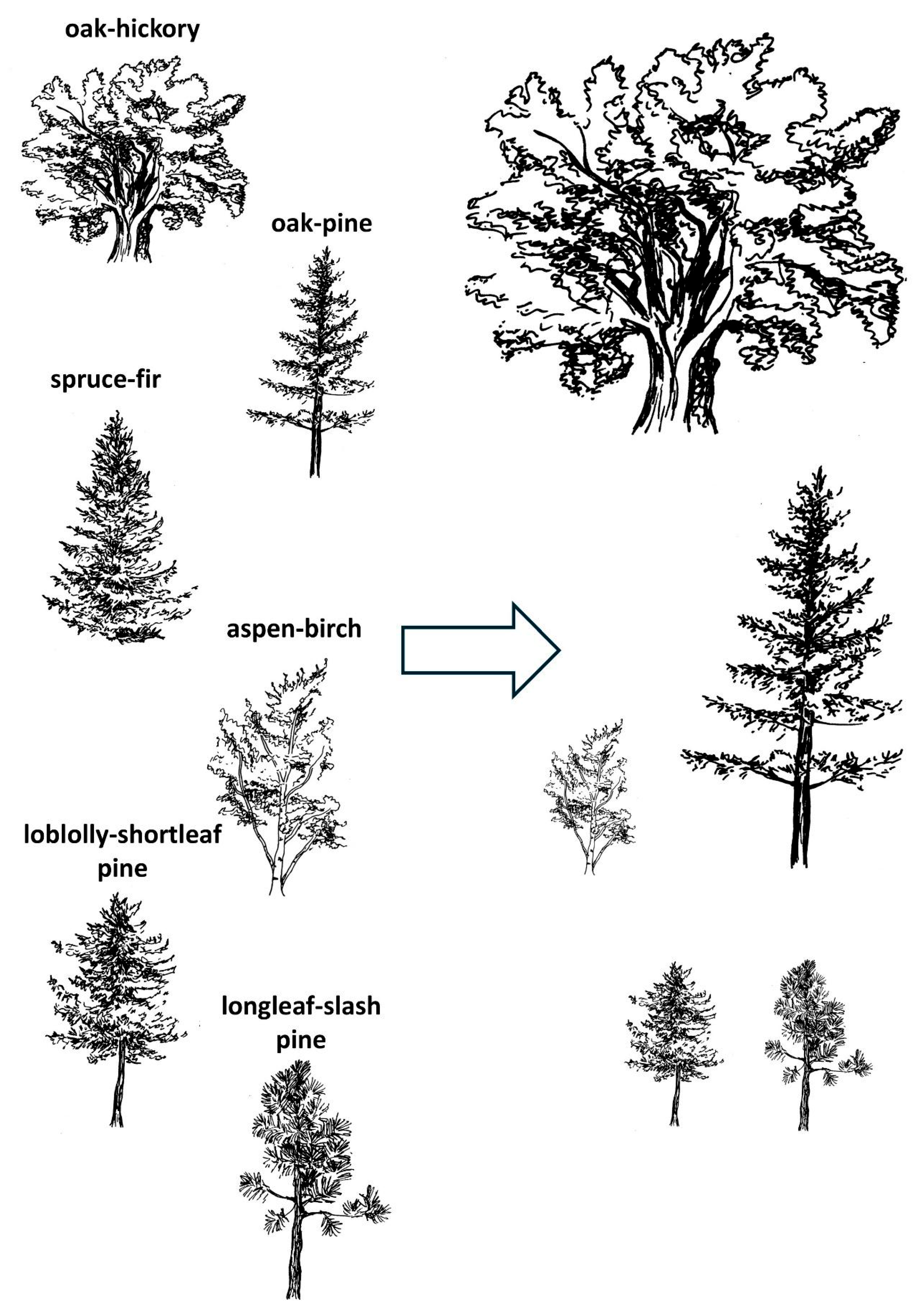 Diversity 17 00793 g002
