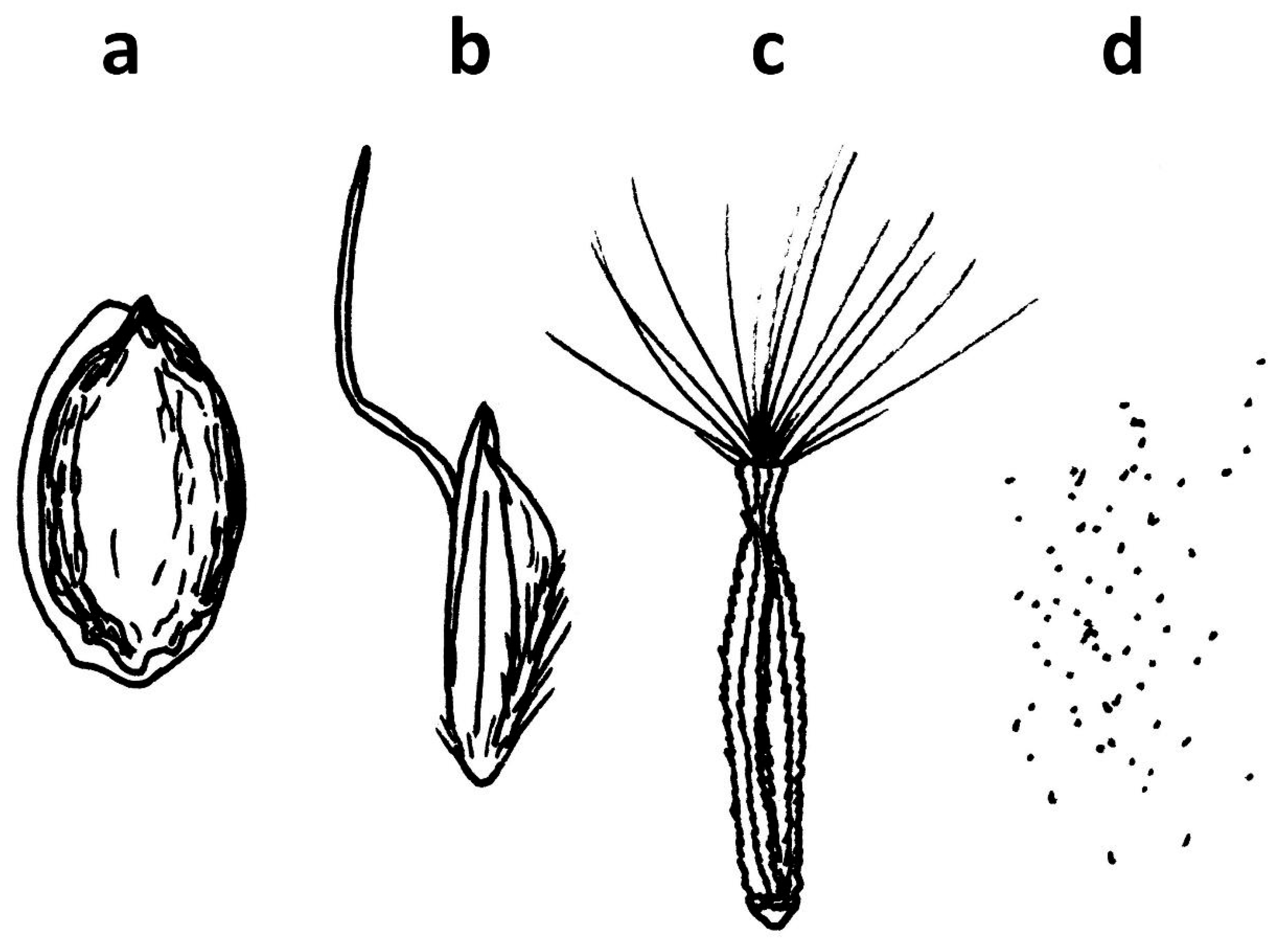 Diversity 17 00793 g006