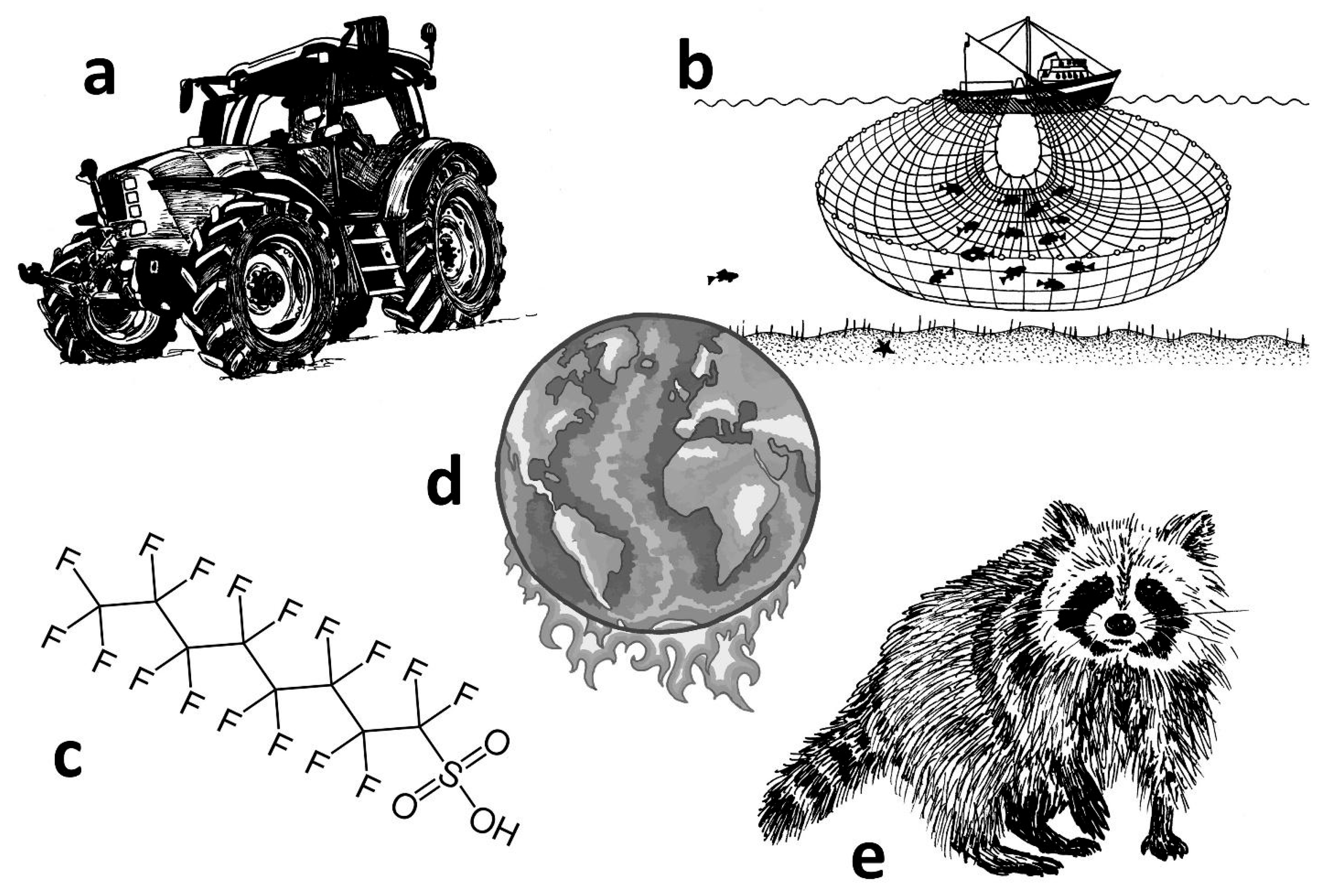 Diversity 17 00793 g007