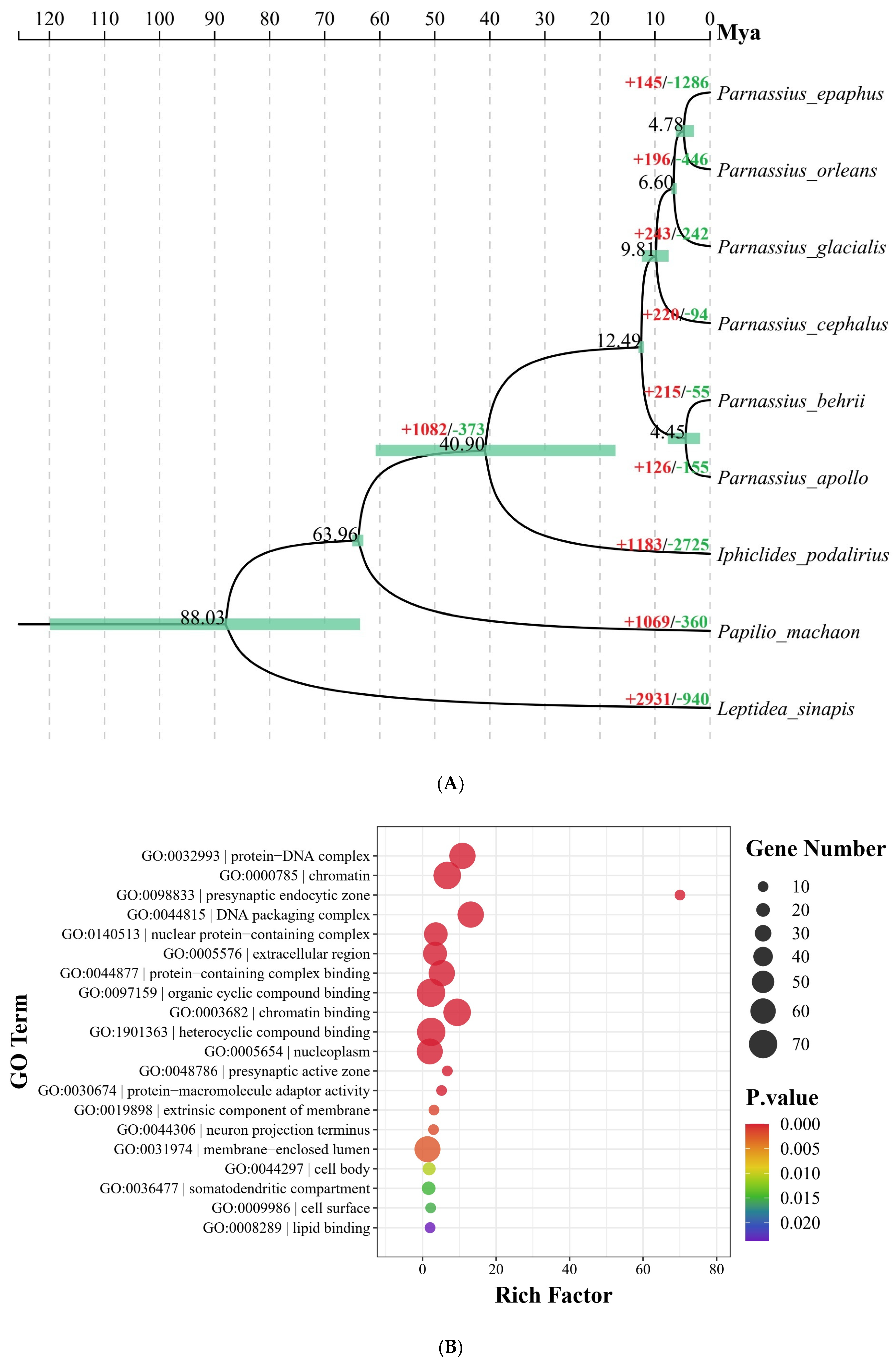 Diversity 17 00794 g002 Diversity 17 00794 g002