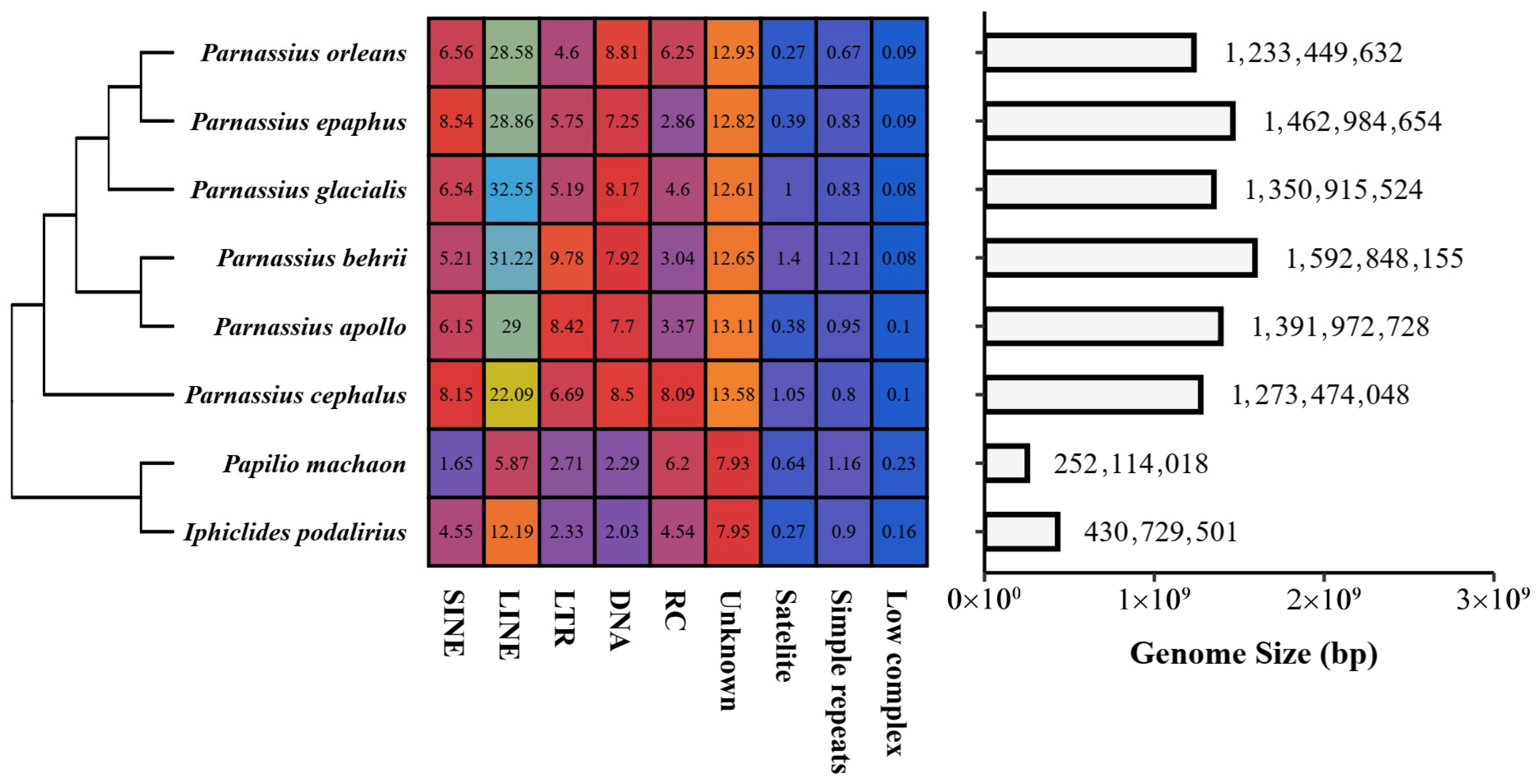 Diversity 17 00794 g004 Diversity 17 00794 g004