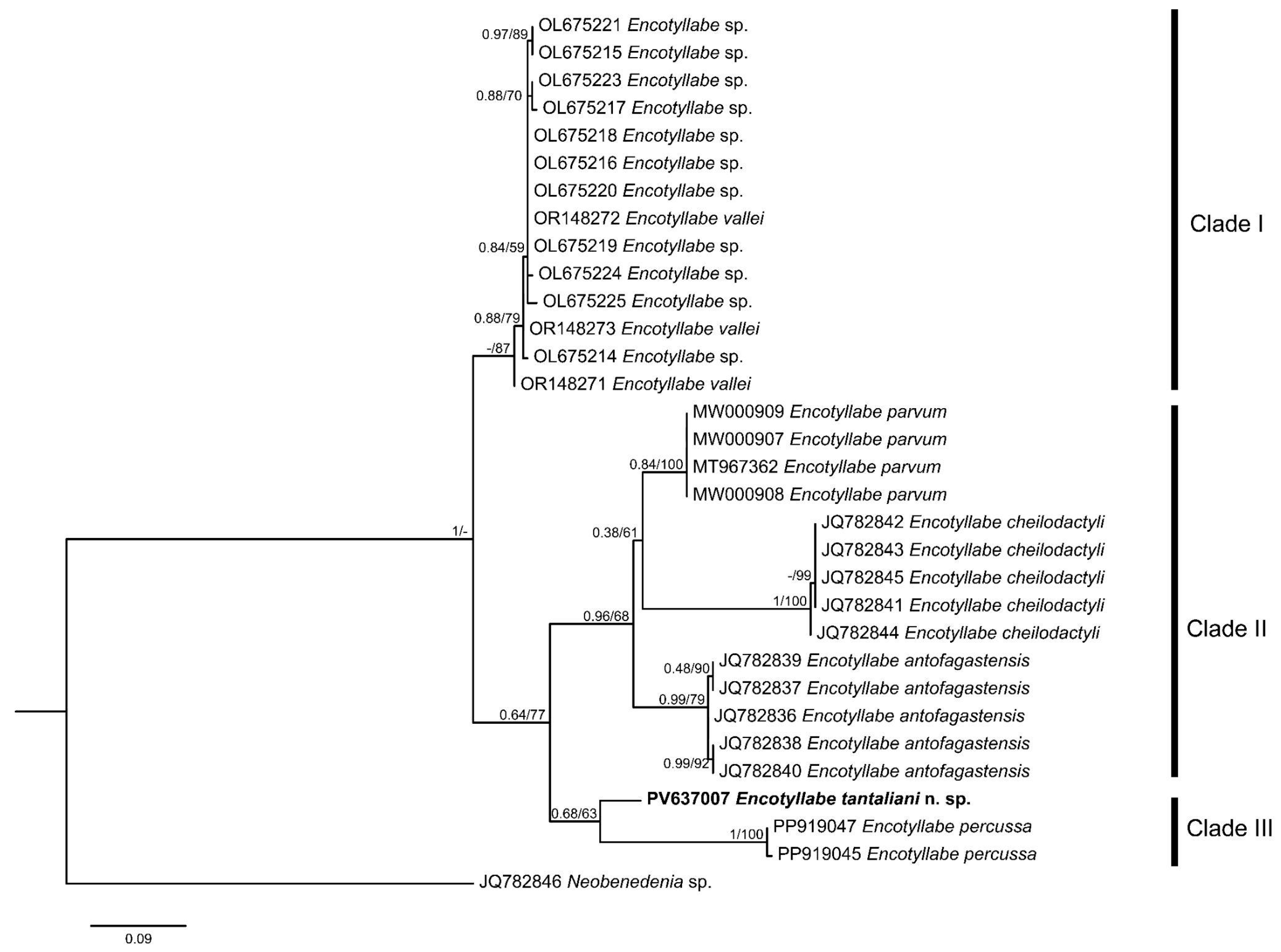 Diversity 17 00795 g003