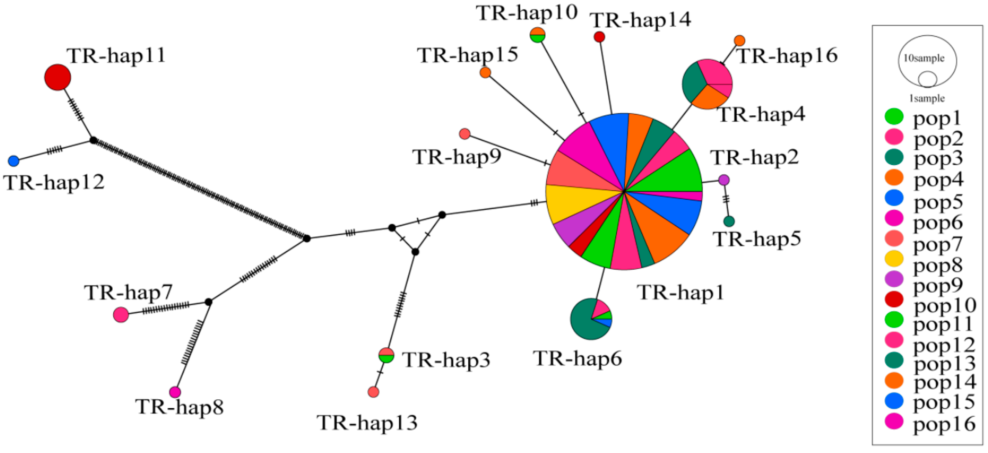 Diversity 17 00798 g007 Diversity 17 00798 g007