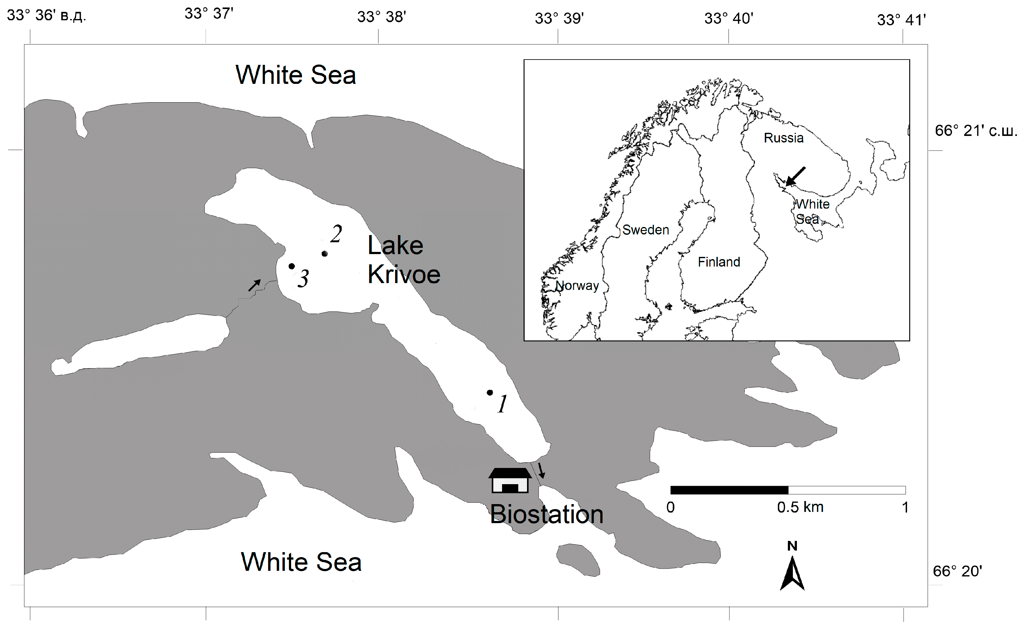 Diversity 17 00799 g001 Diversity 17 00799 g001