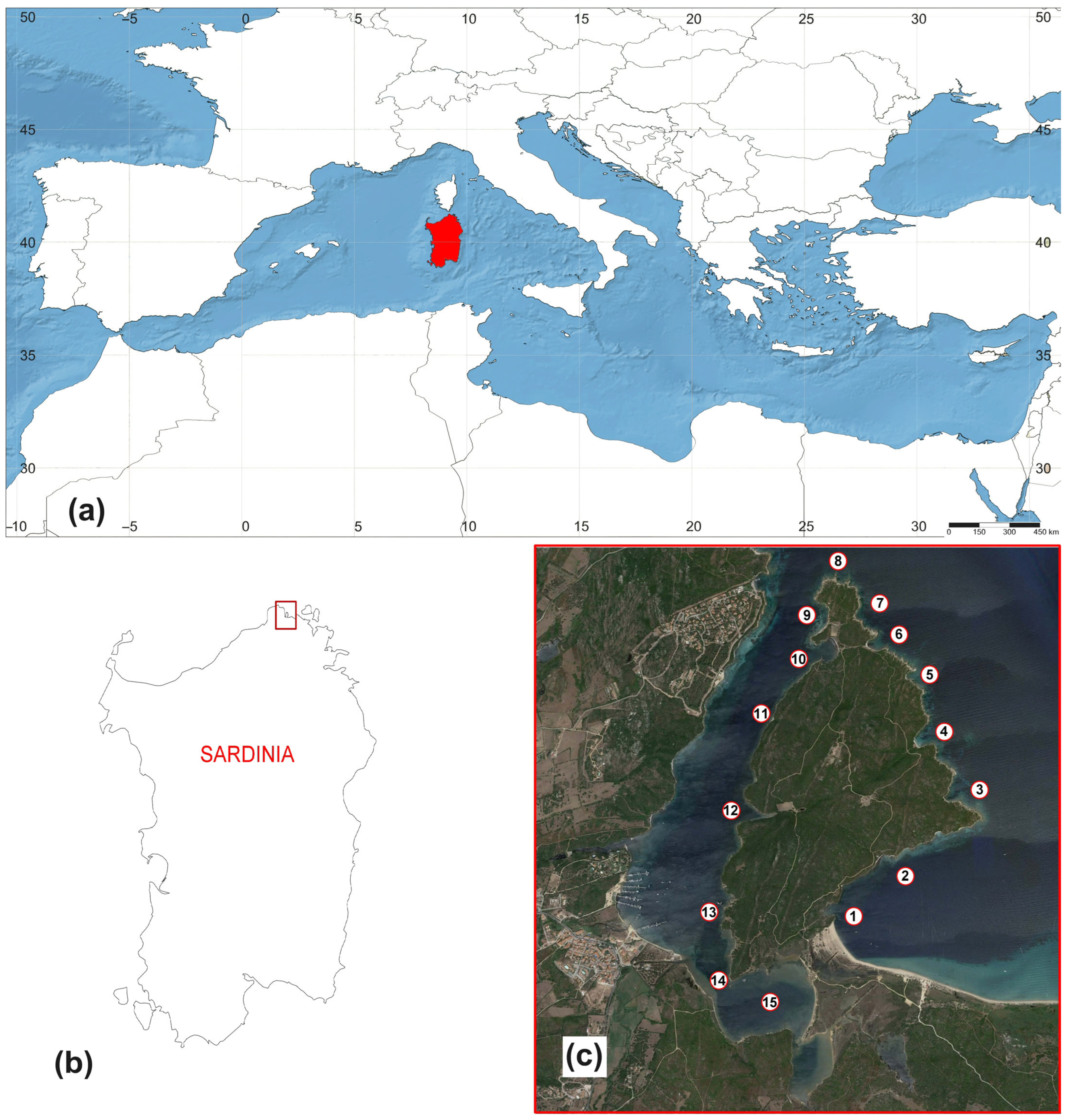 Diversity 17 00809 g001