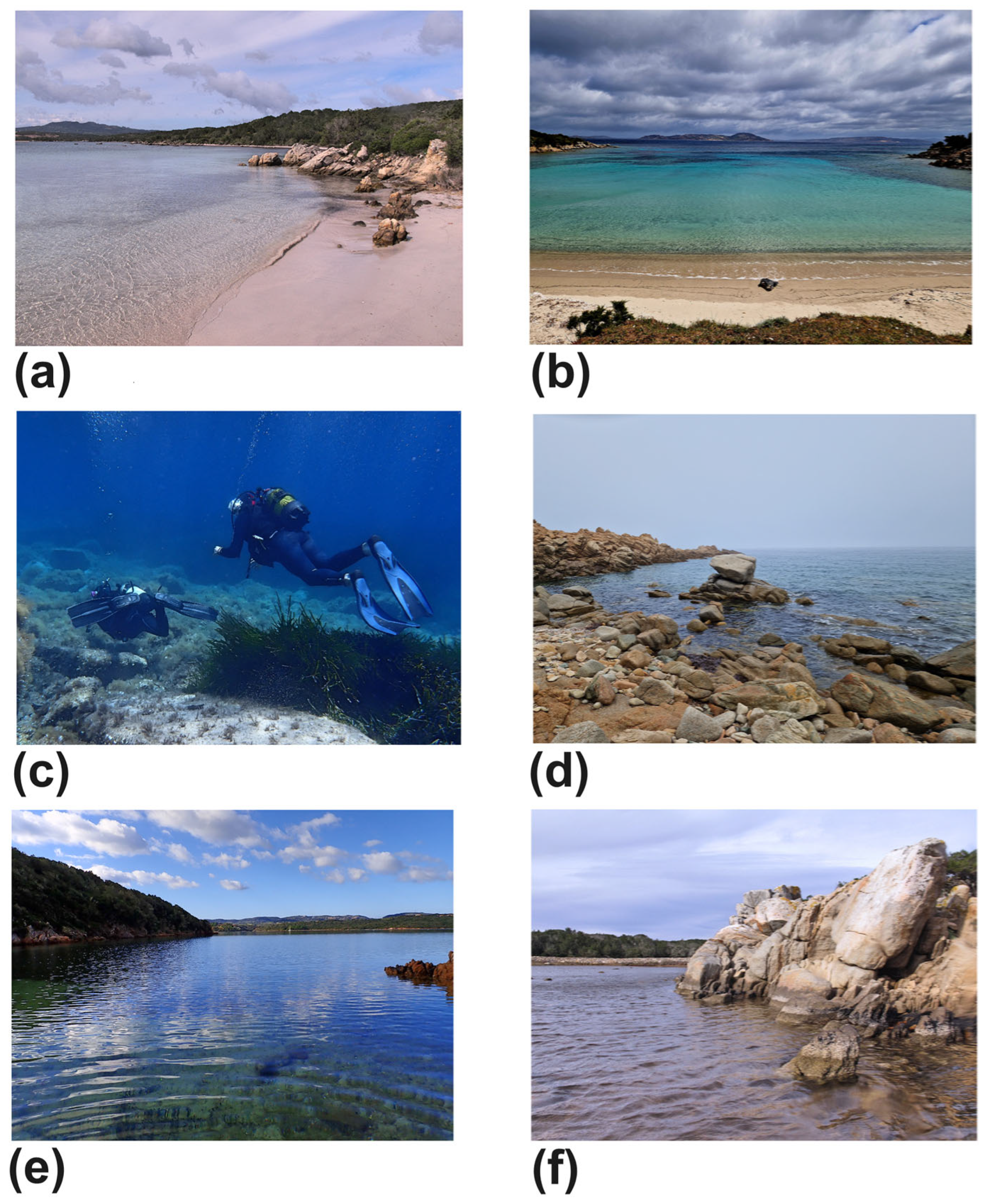 Diversity 17 00809 g002