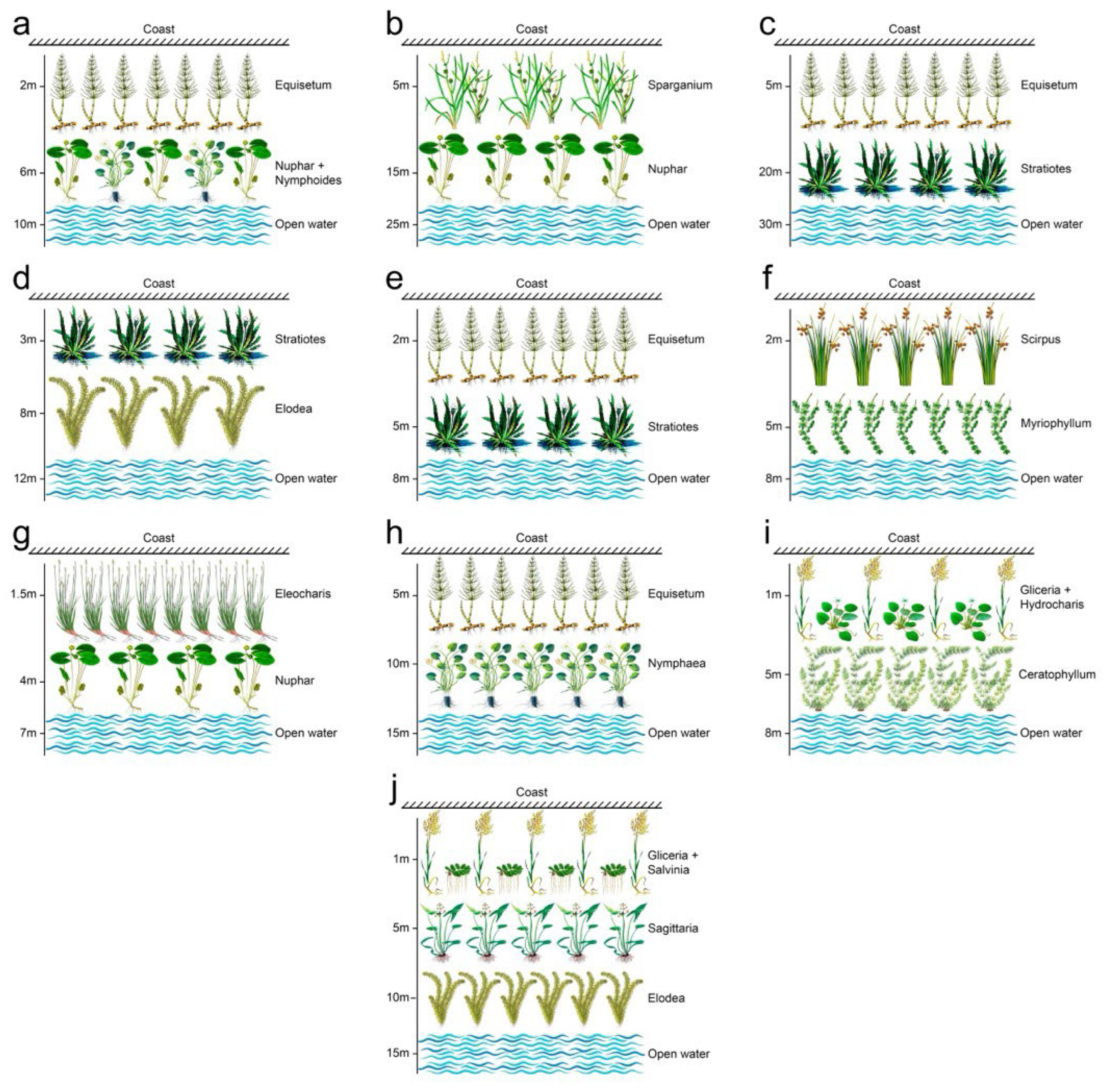 Diversity 17 00812 g001