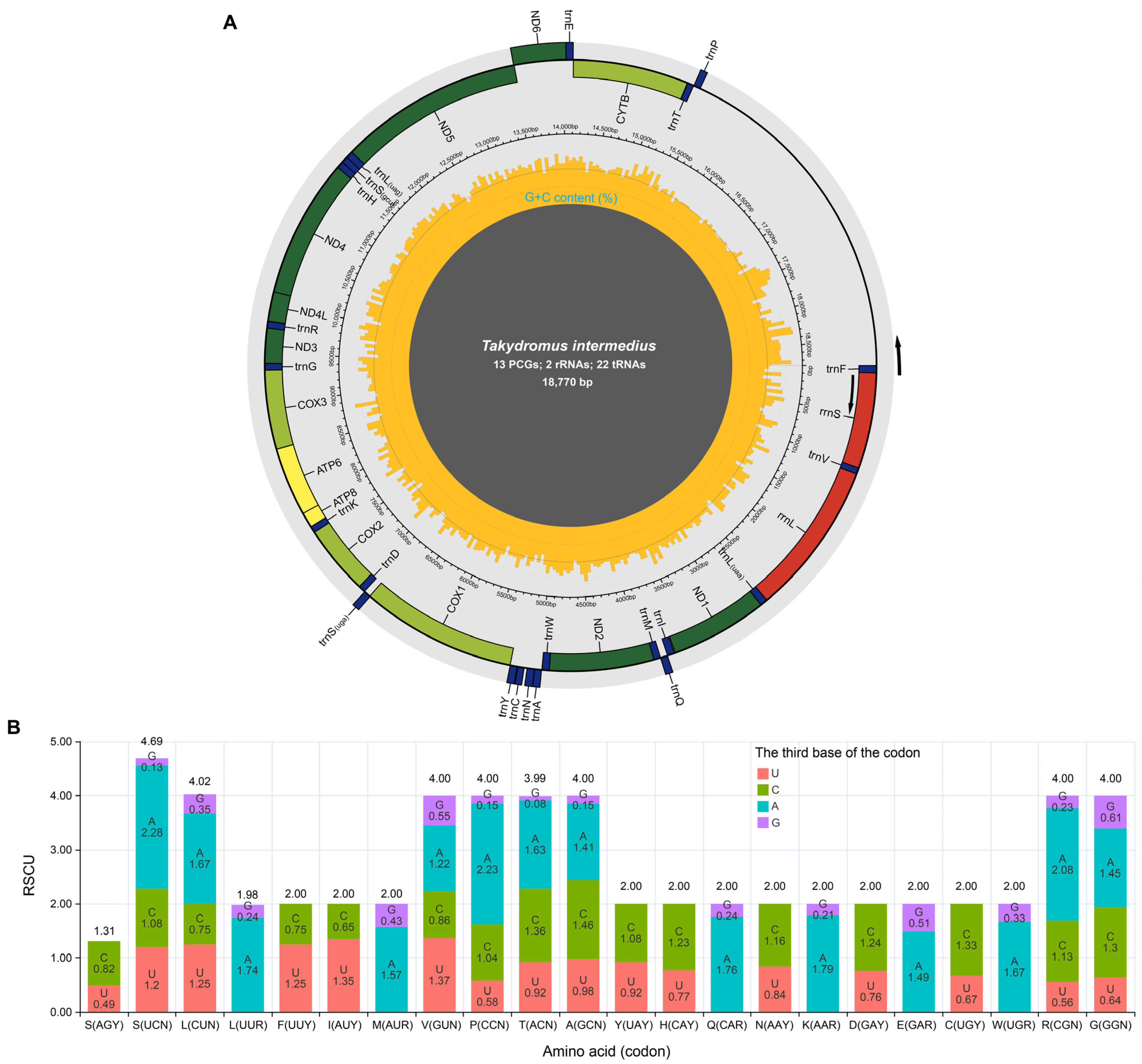 Diversity 17 00813 g001