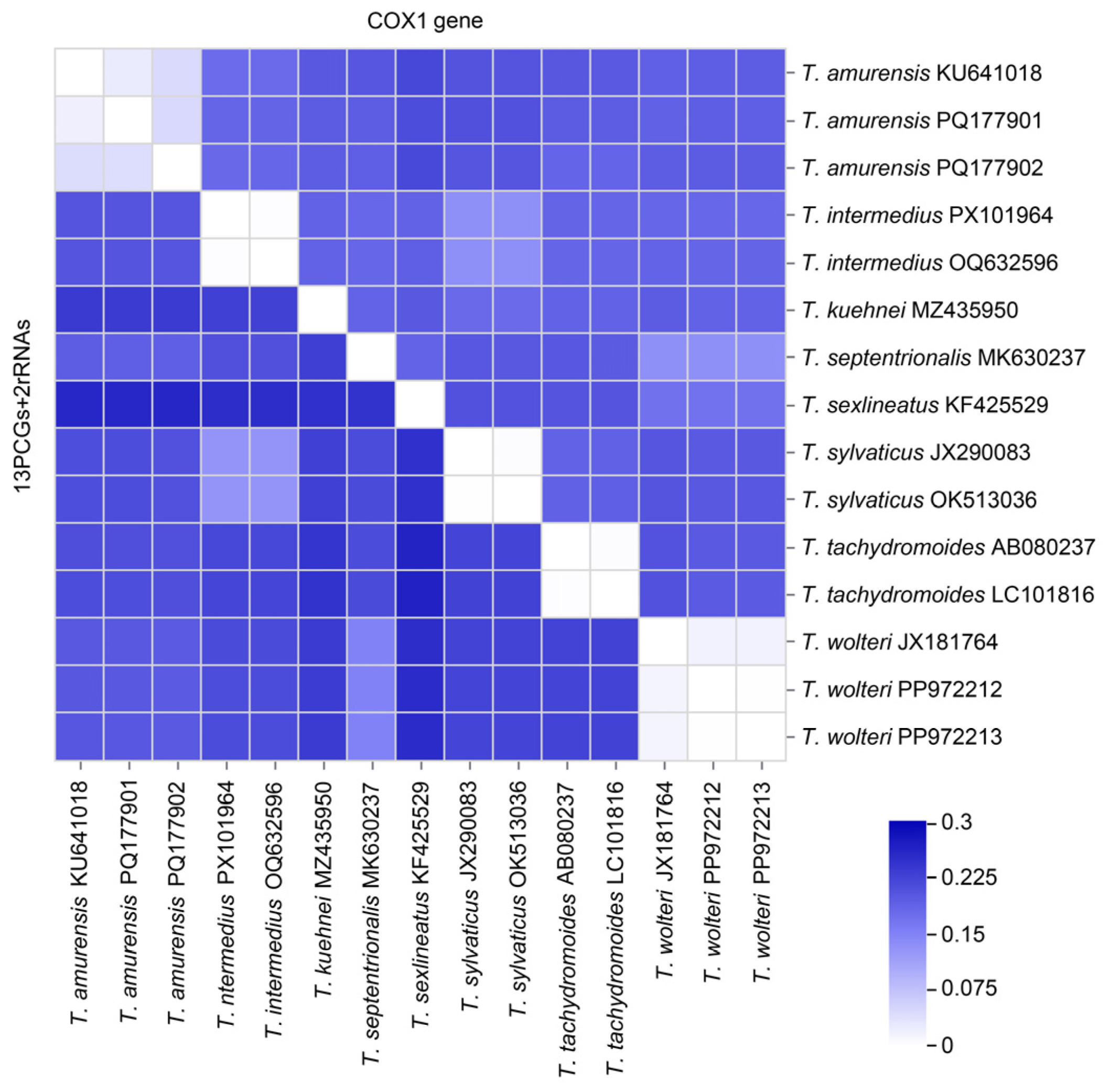 Diversity 17 00813 g005