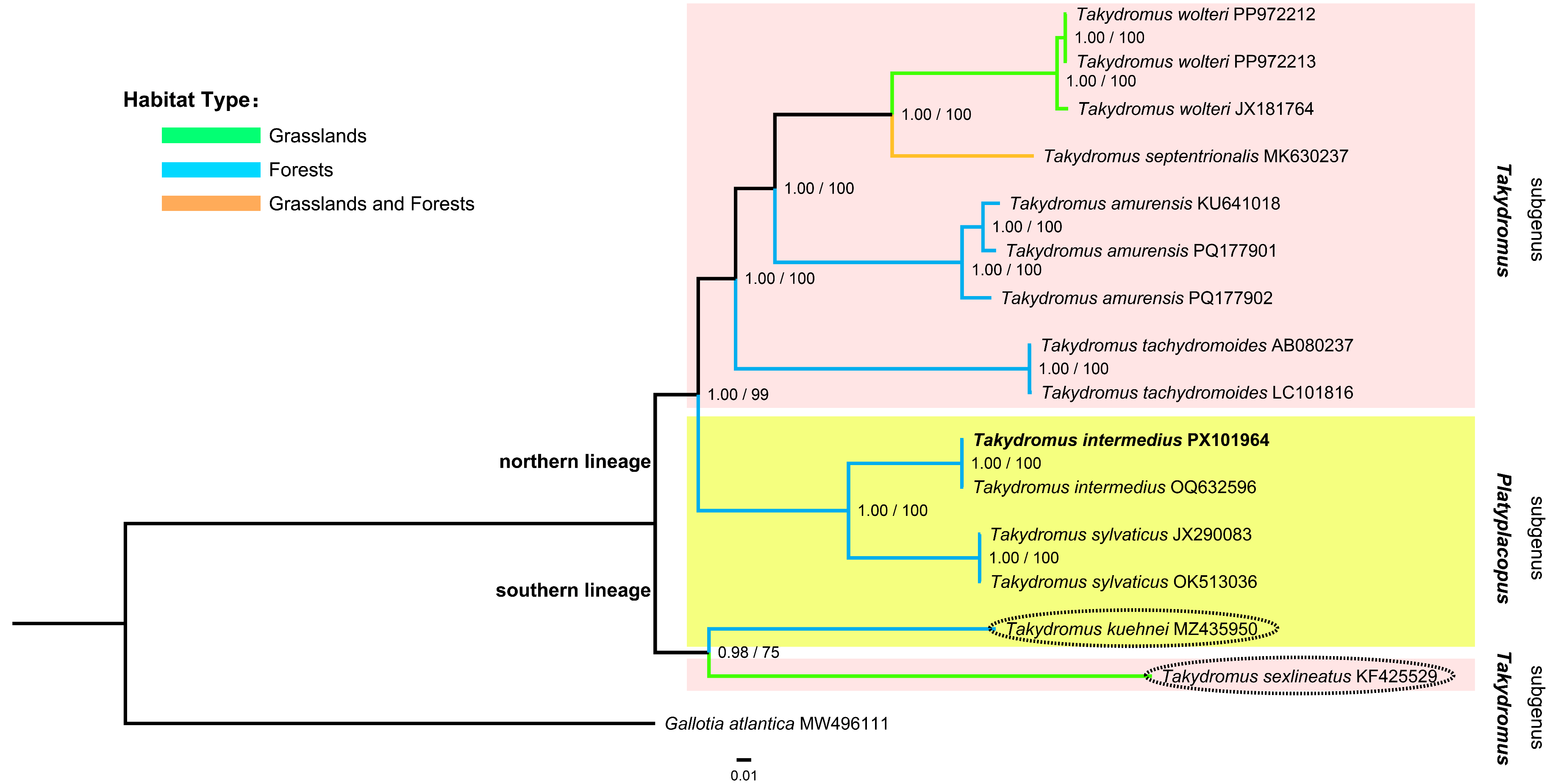 Diversity 17 00813 g006