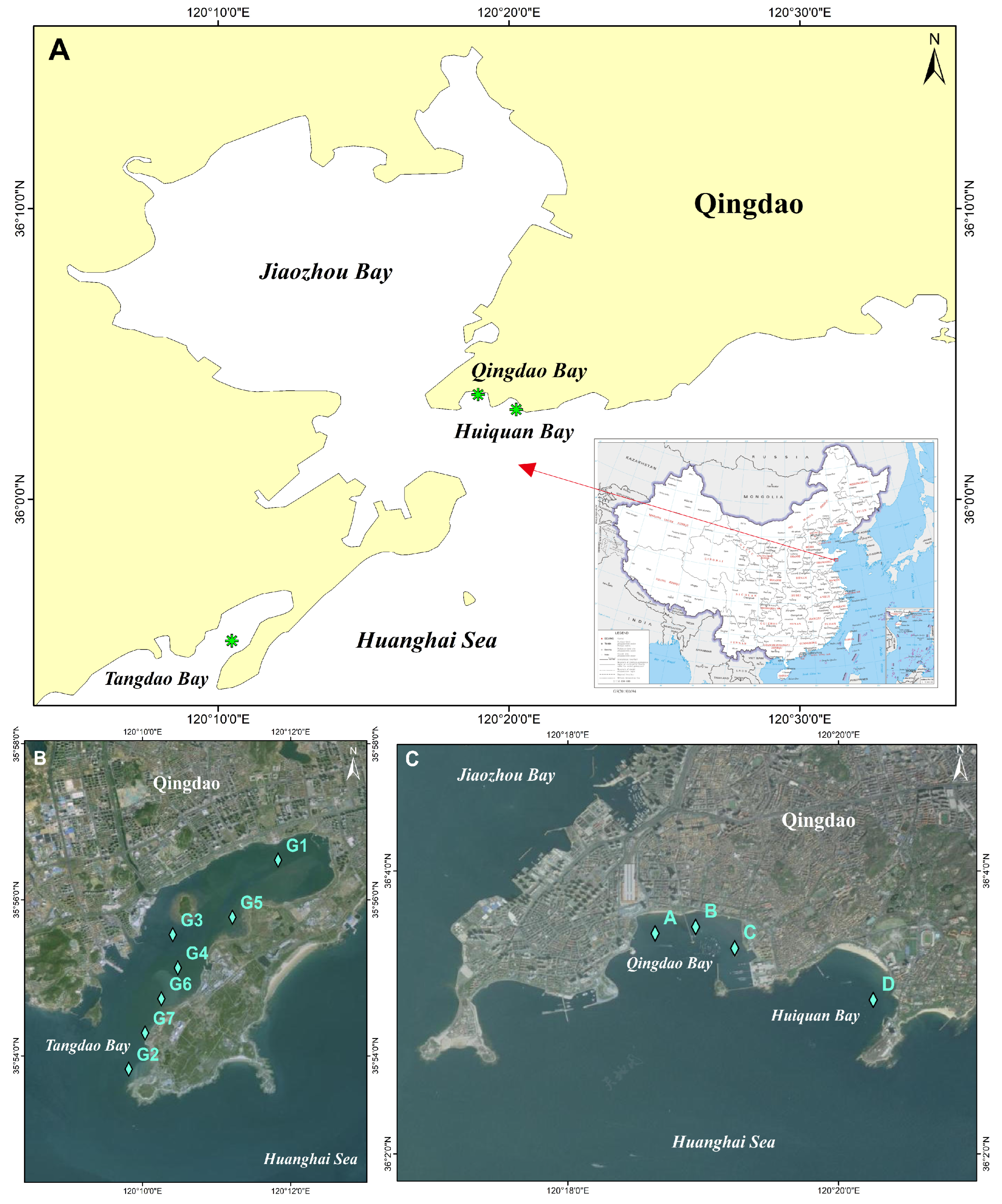 Diversity 17 00816 g001