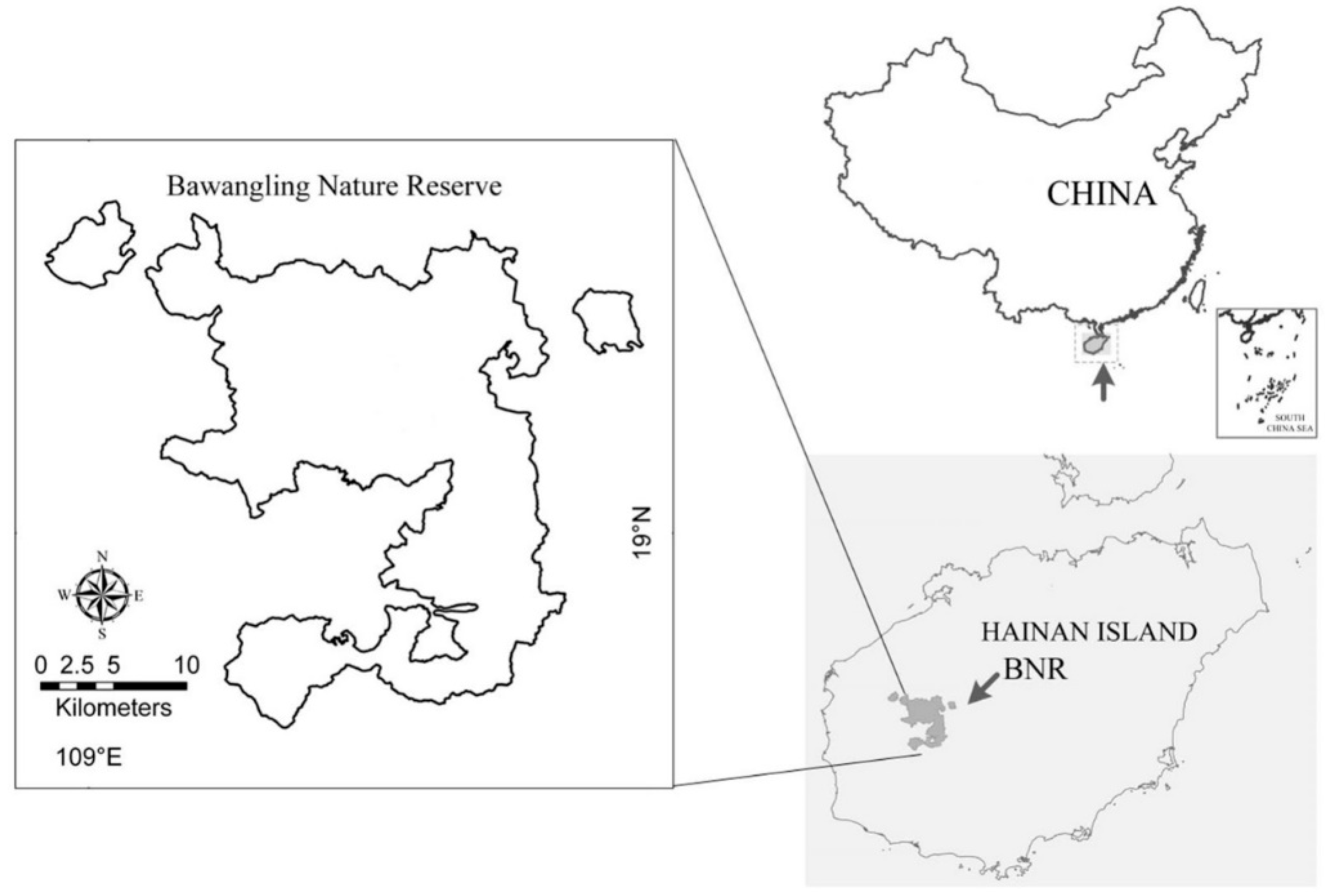 Diversity 17 00818 g001