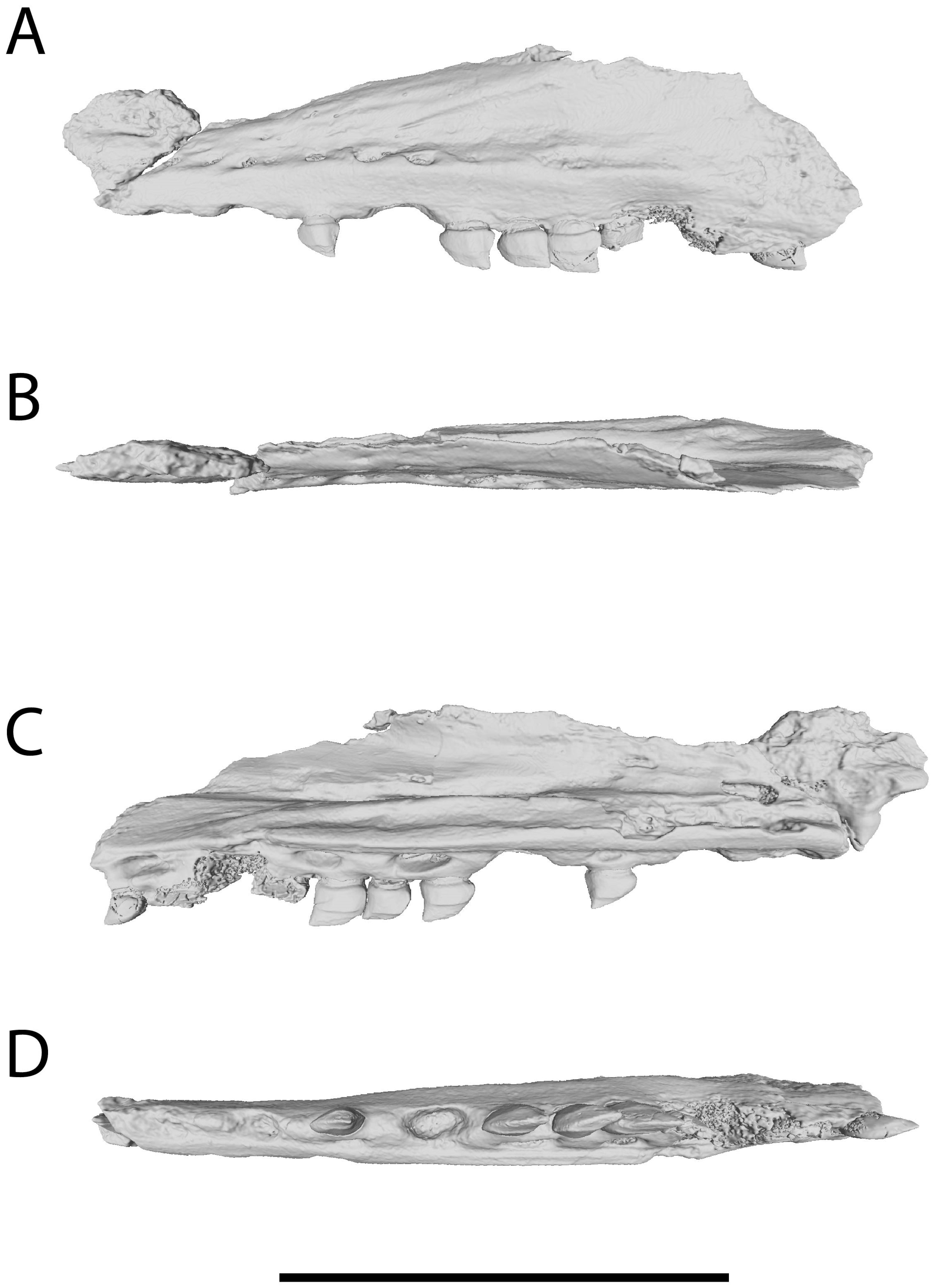 Diversity 17 00819 g004