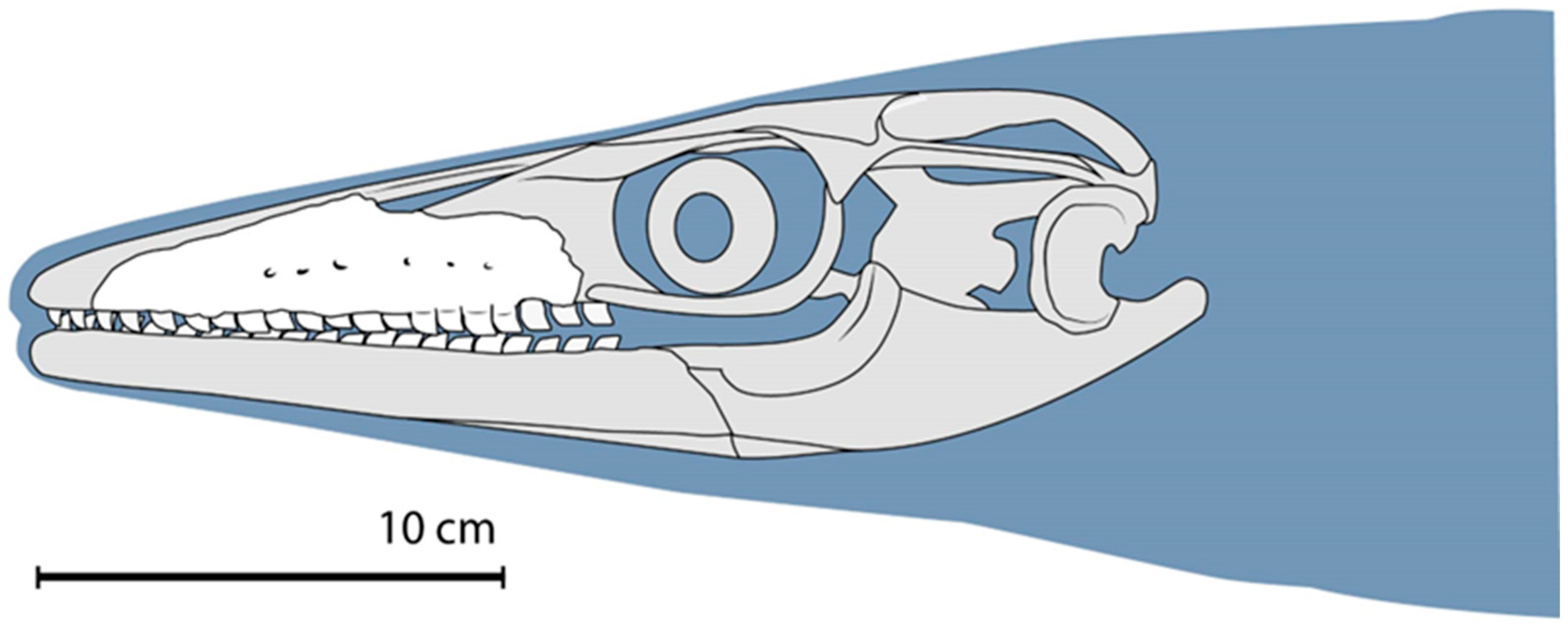 Diversity 17 00819 g007