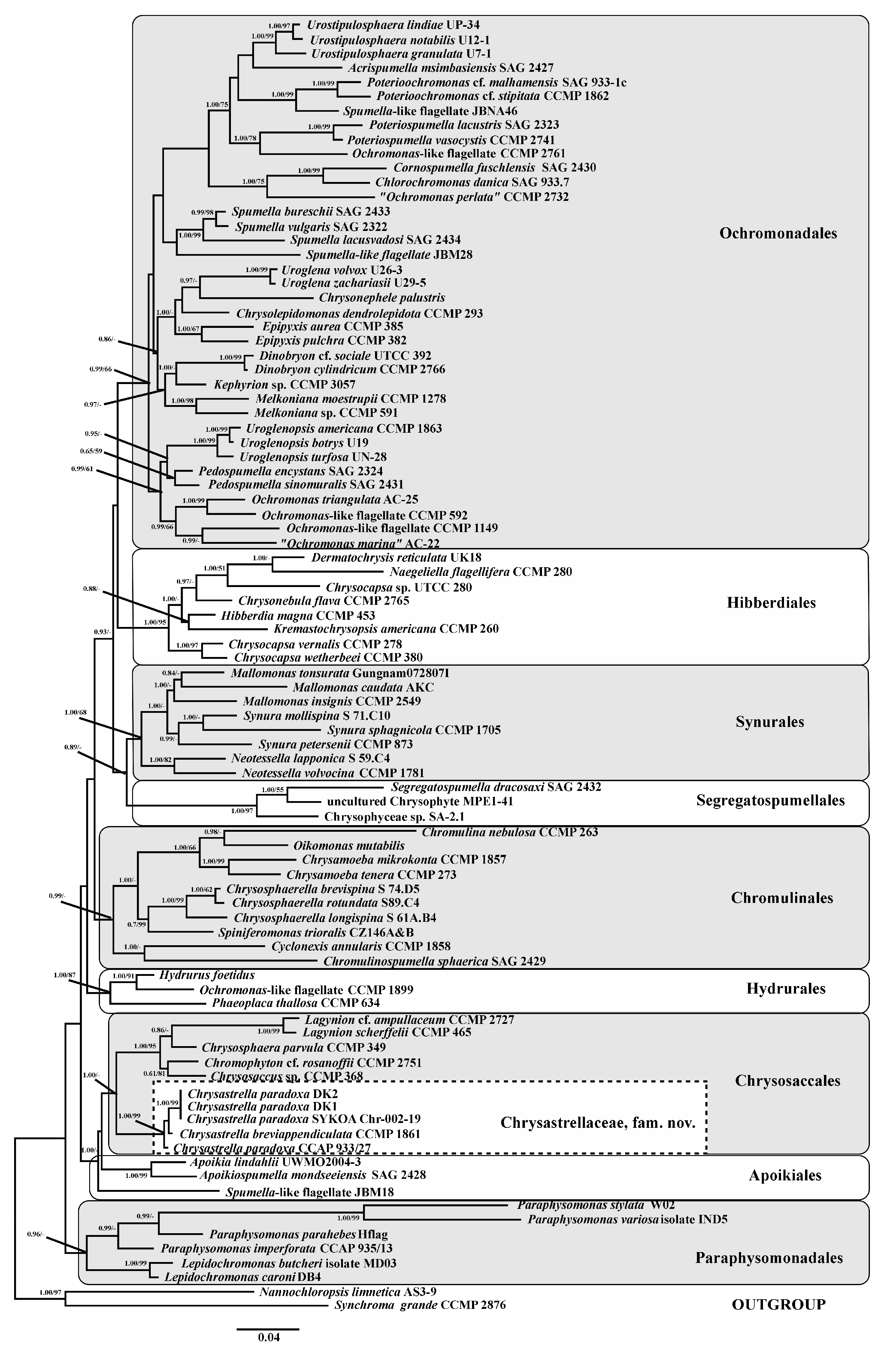 Diversity 17 00824 g002