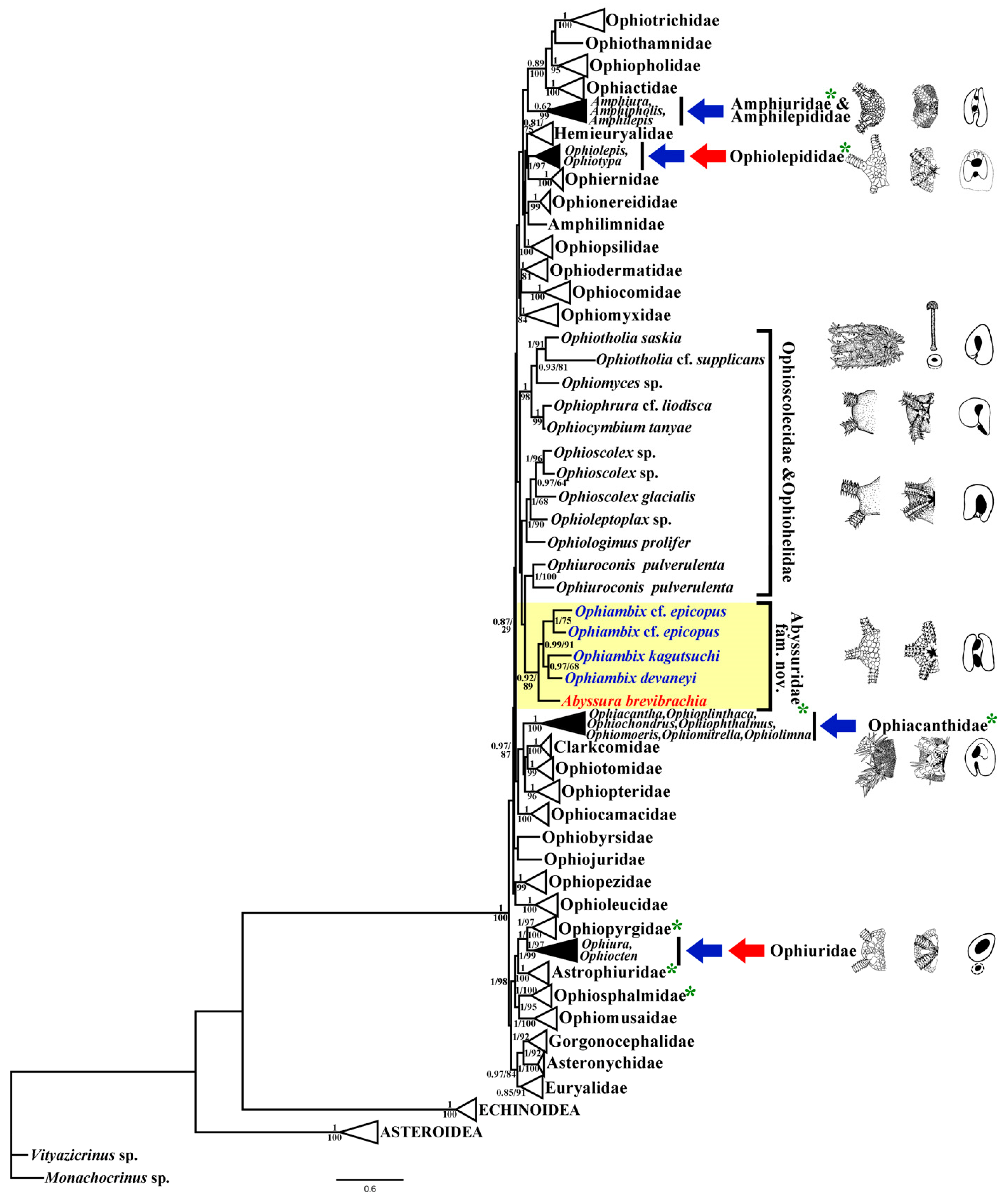 Diversity 17 00827 g001