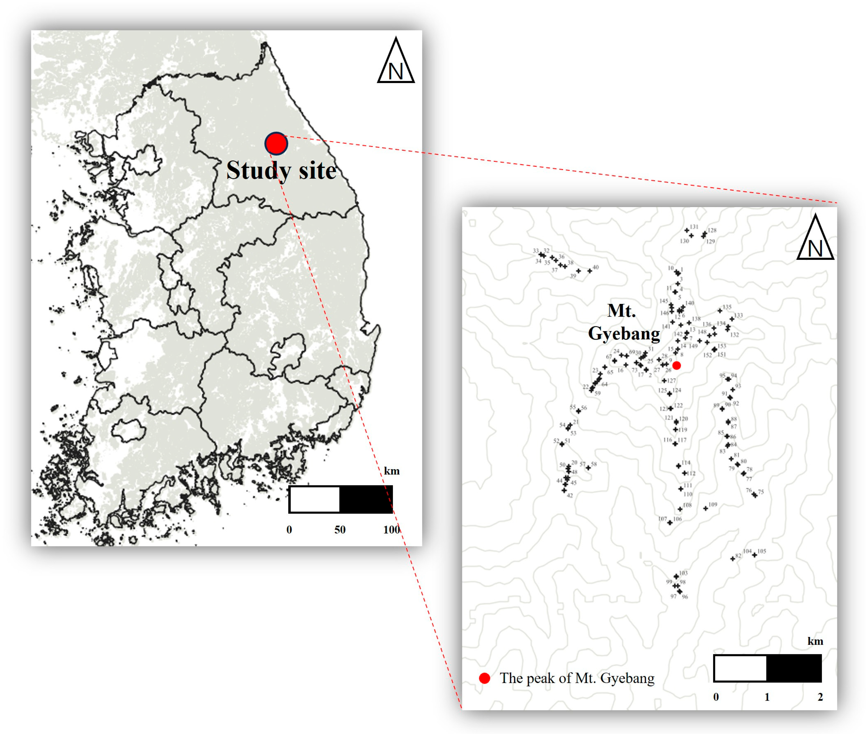 Diversity 17 00828 g001