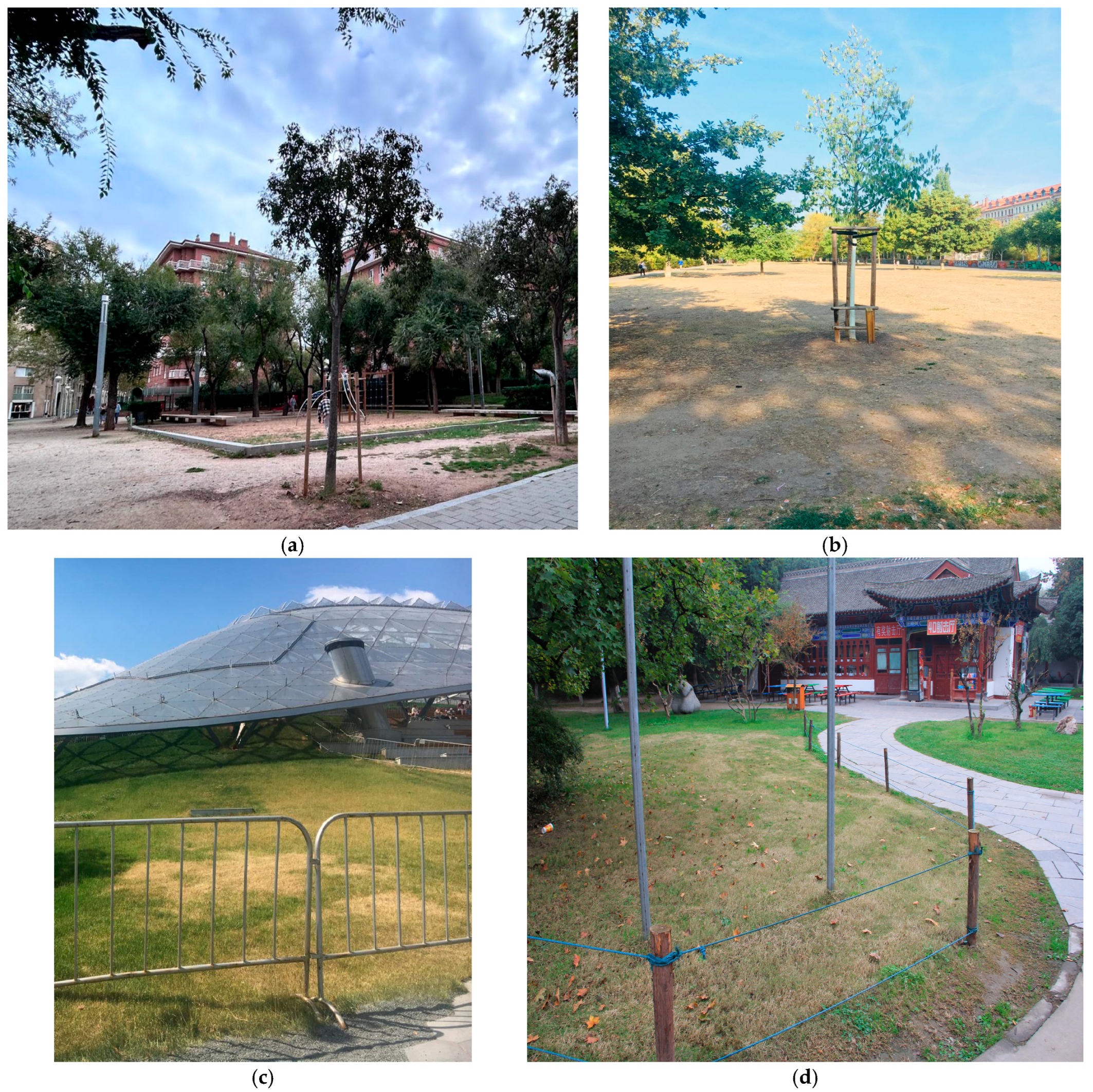 Diversity 17 00830 g007