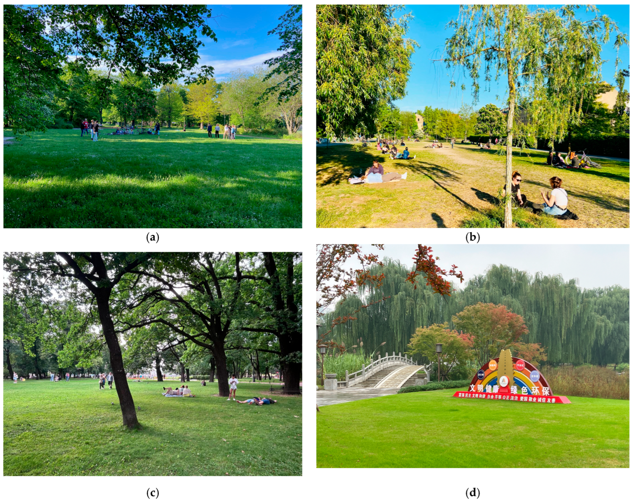 Diversity 17 00830 g008