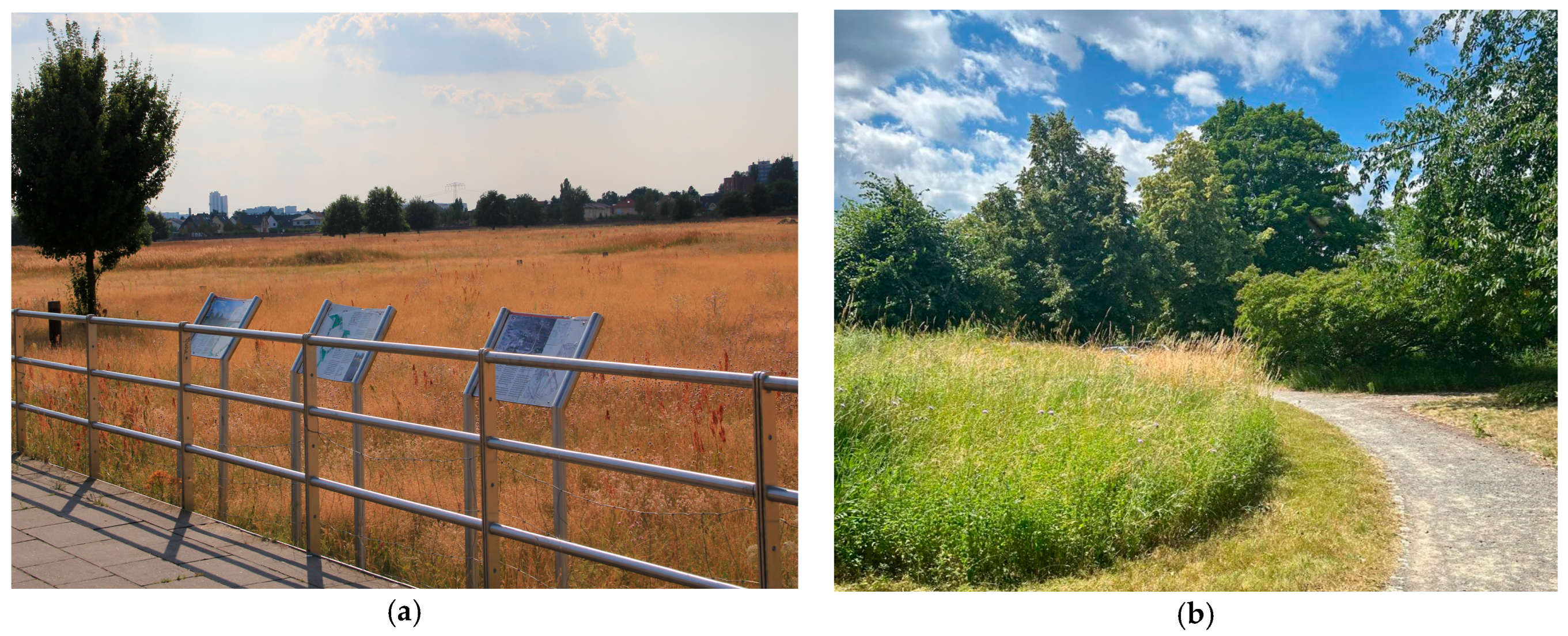 Diversity 17 00830 g009