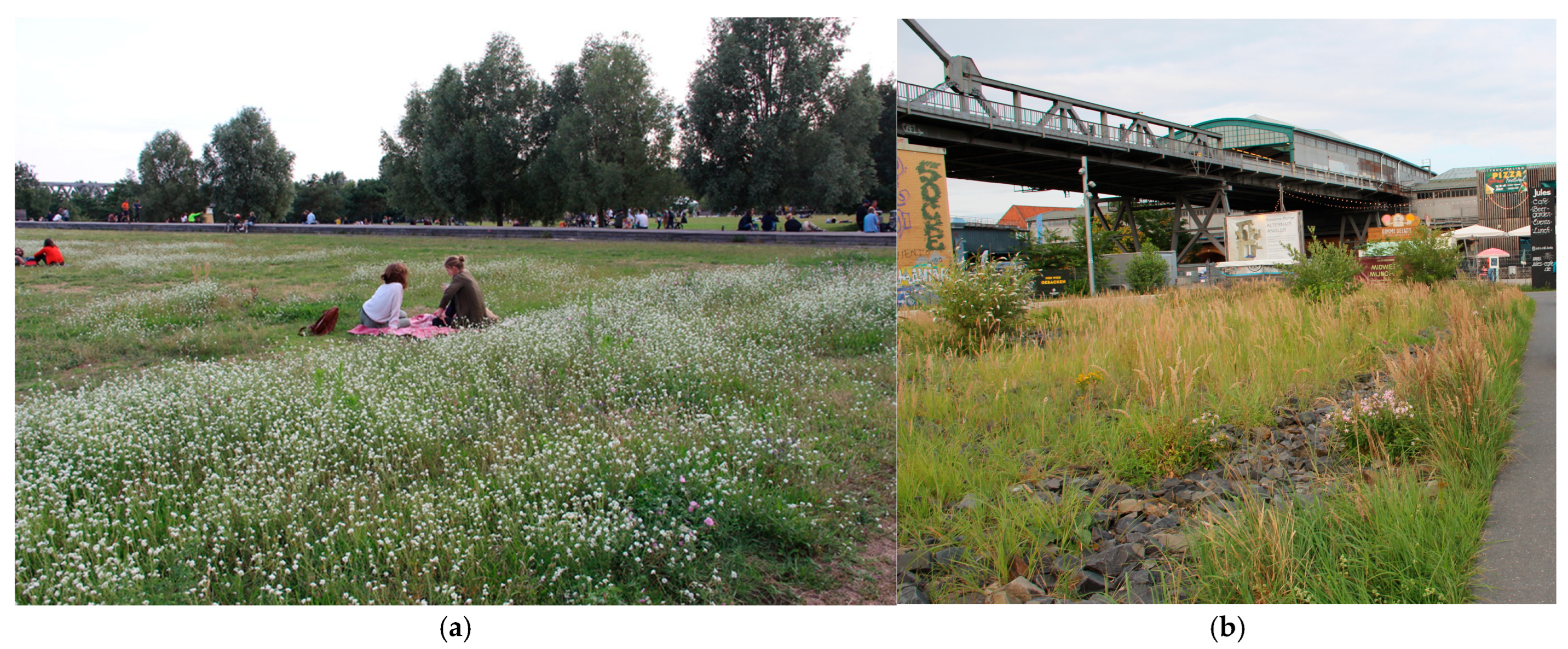 Diversity 17 00830 g010