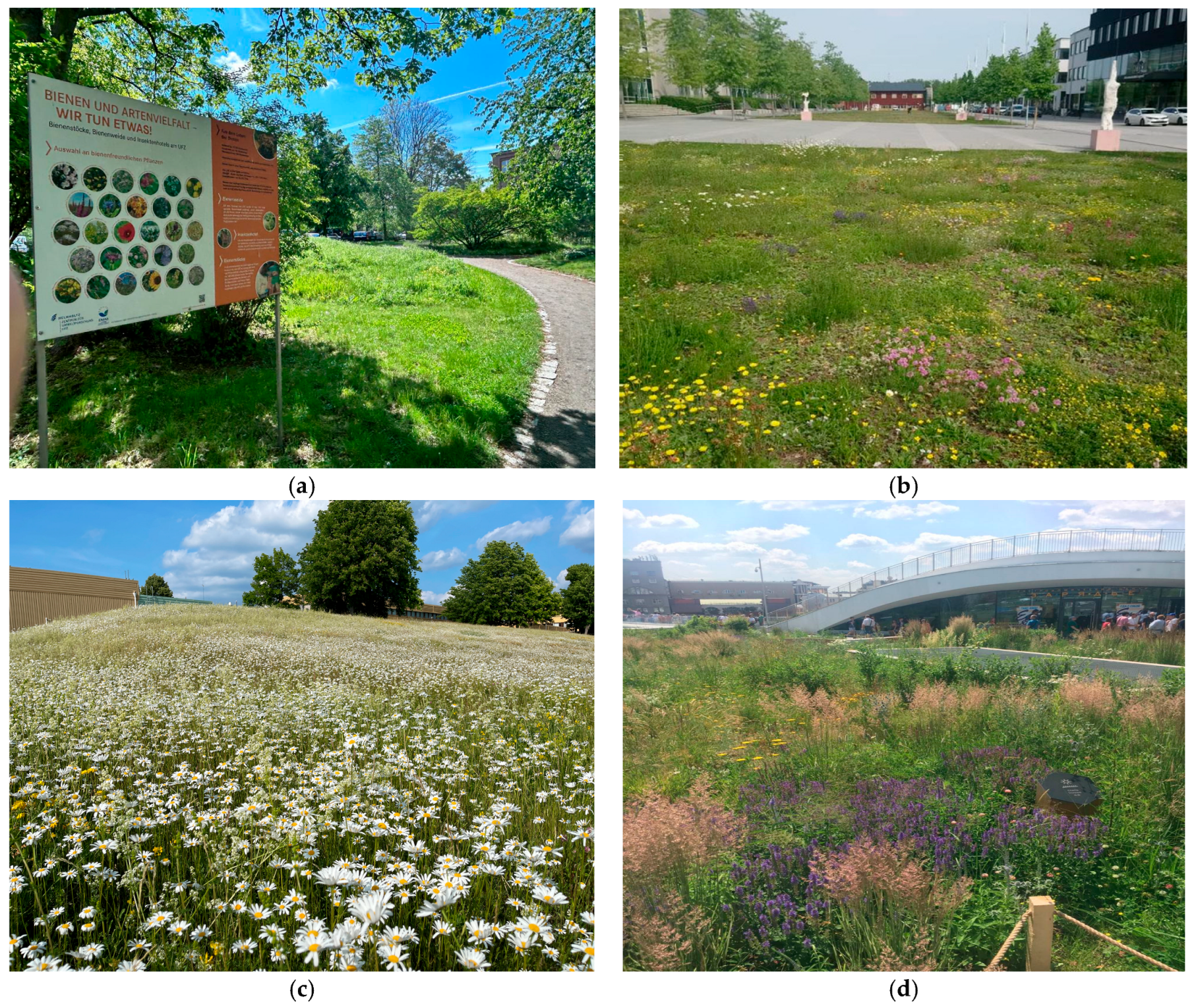 Diversity 17 00830 g011